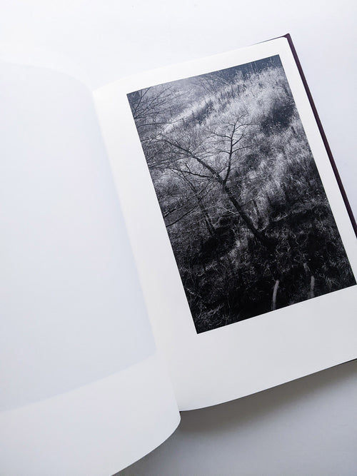 Helix / Shimpei Yamagami [SIGNED]