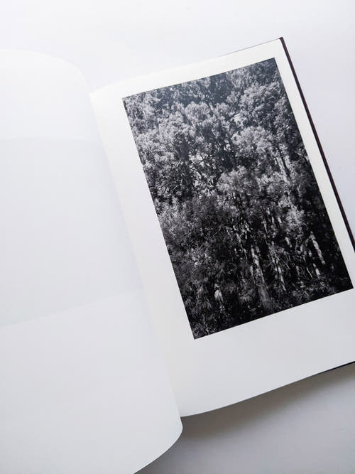 Helix / Shimpei Yamagami [SIGNED]
