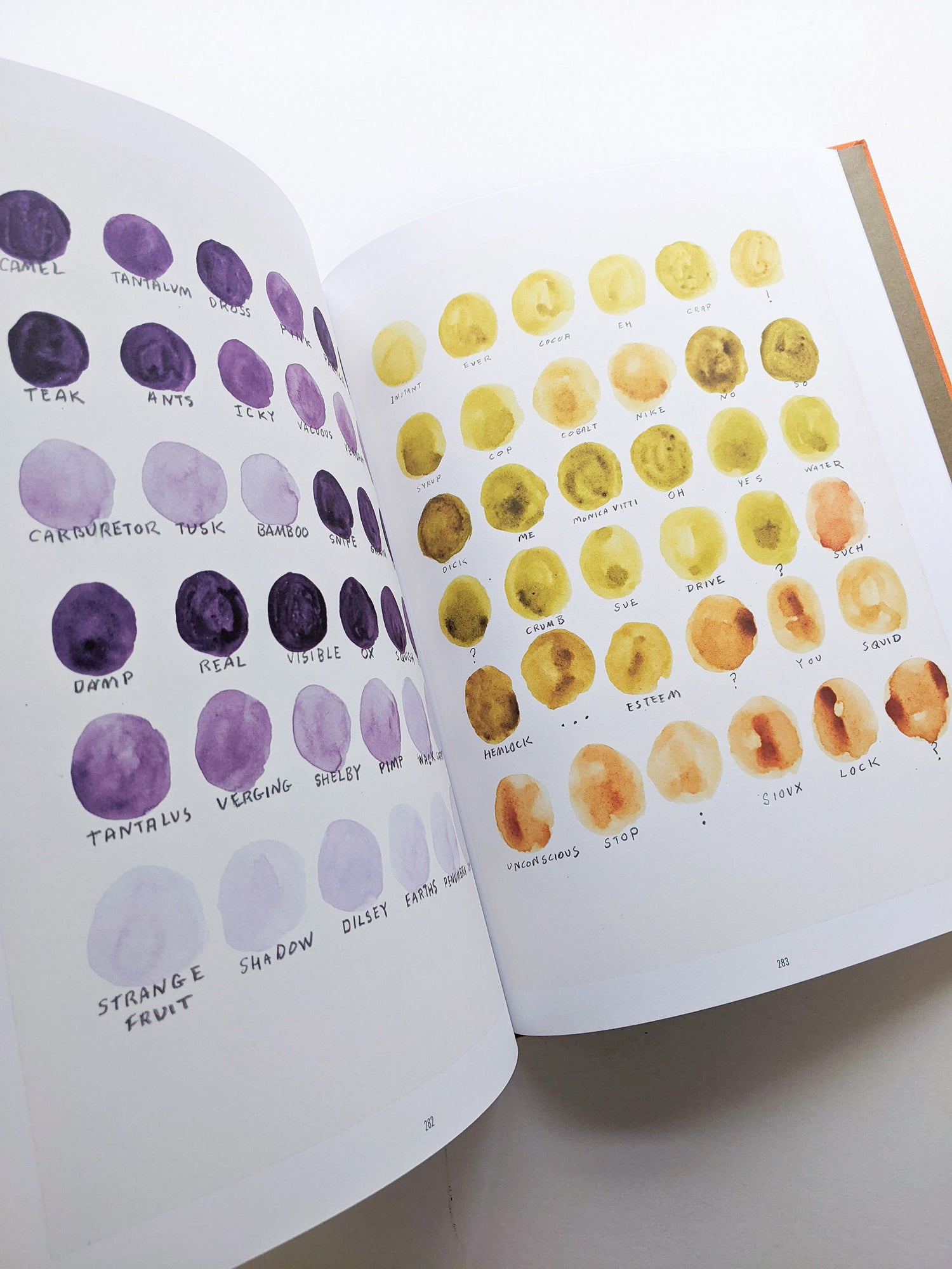 REMEMBERED WORDS / Roni Horn