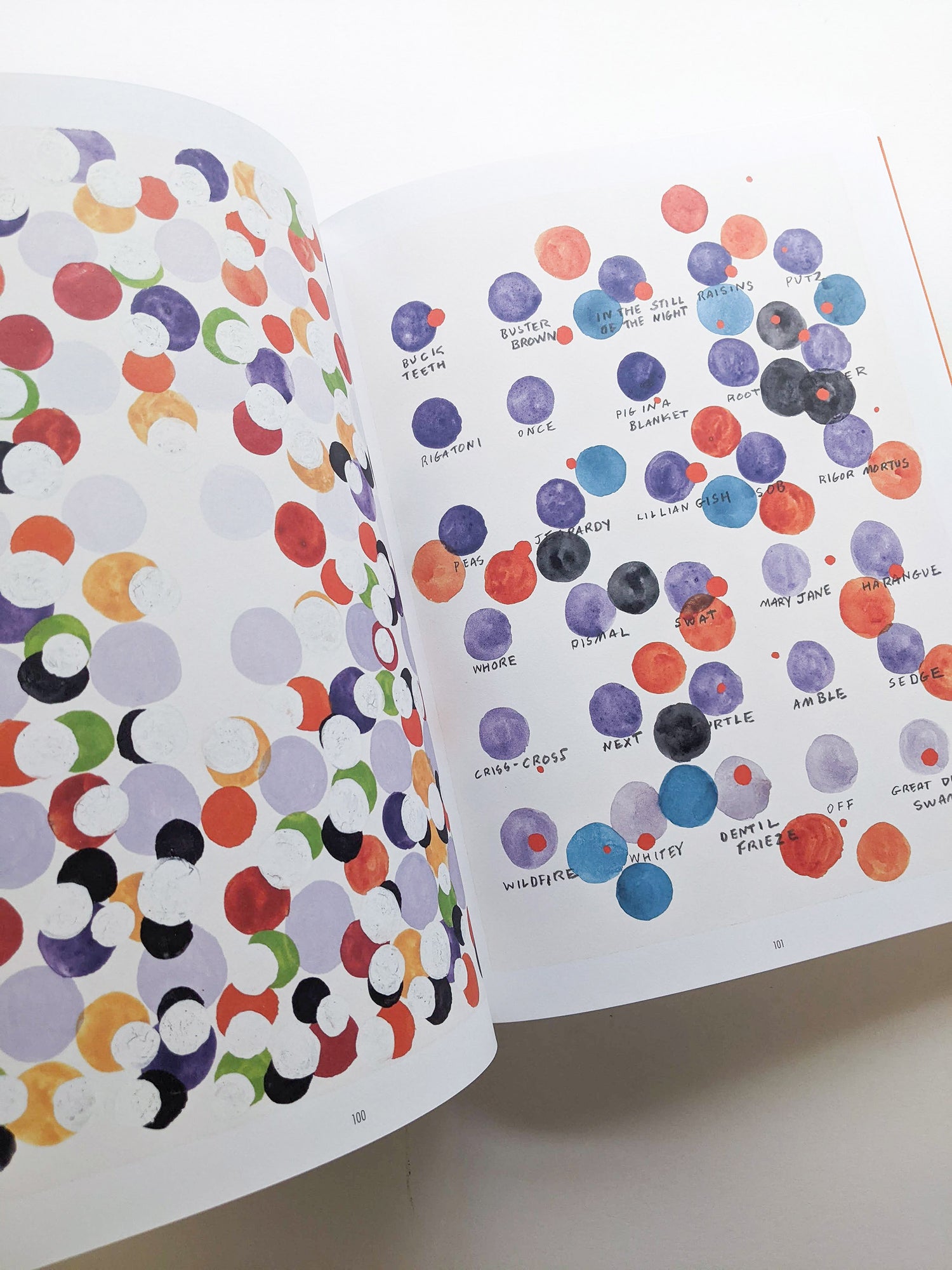 REMEMBERED WORDS / Roni Horn