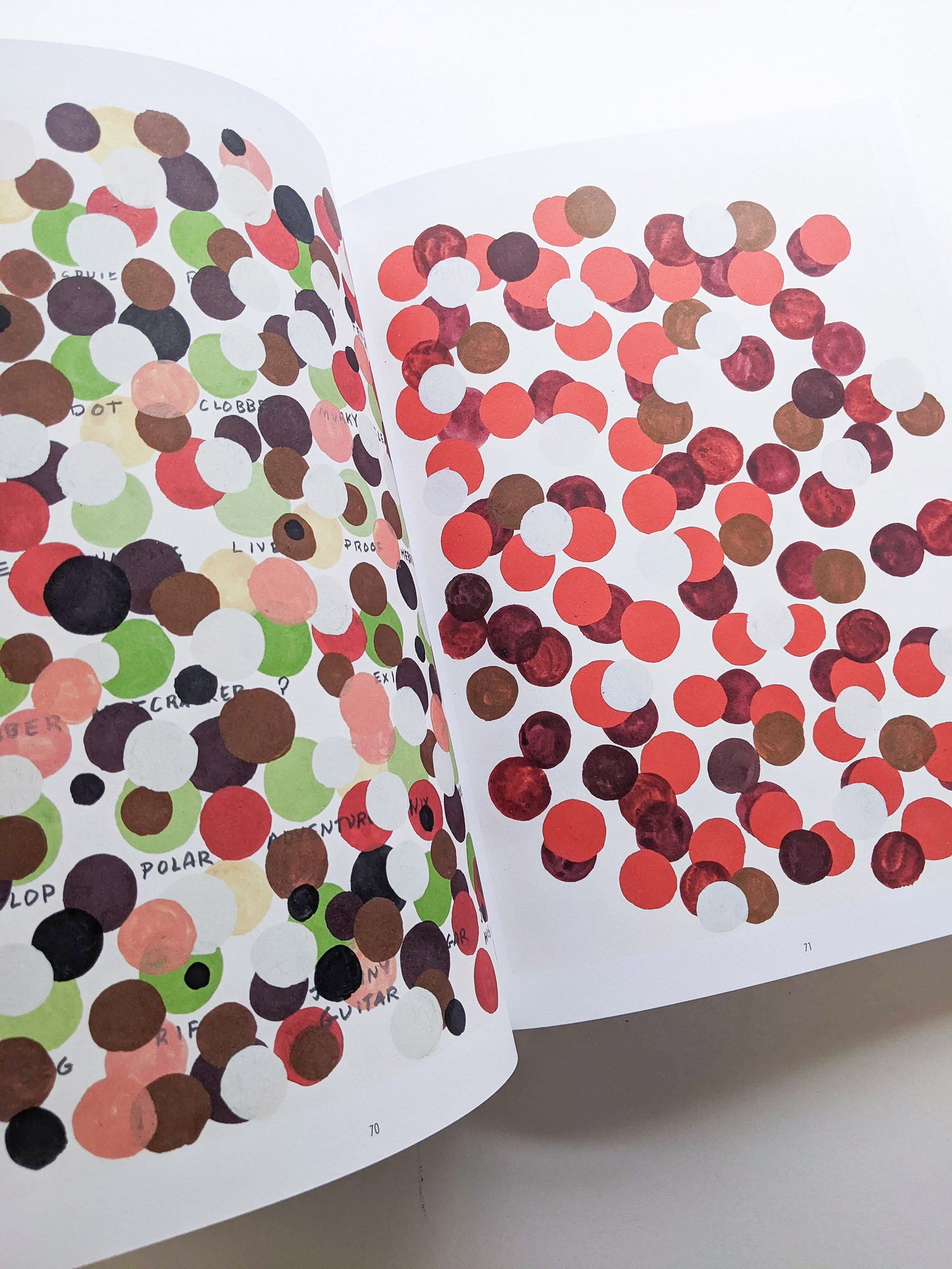 REMEMBERED WORDS / Roni Horn