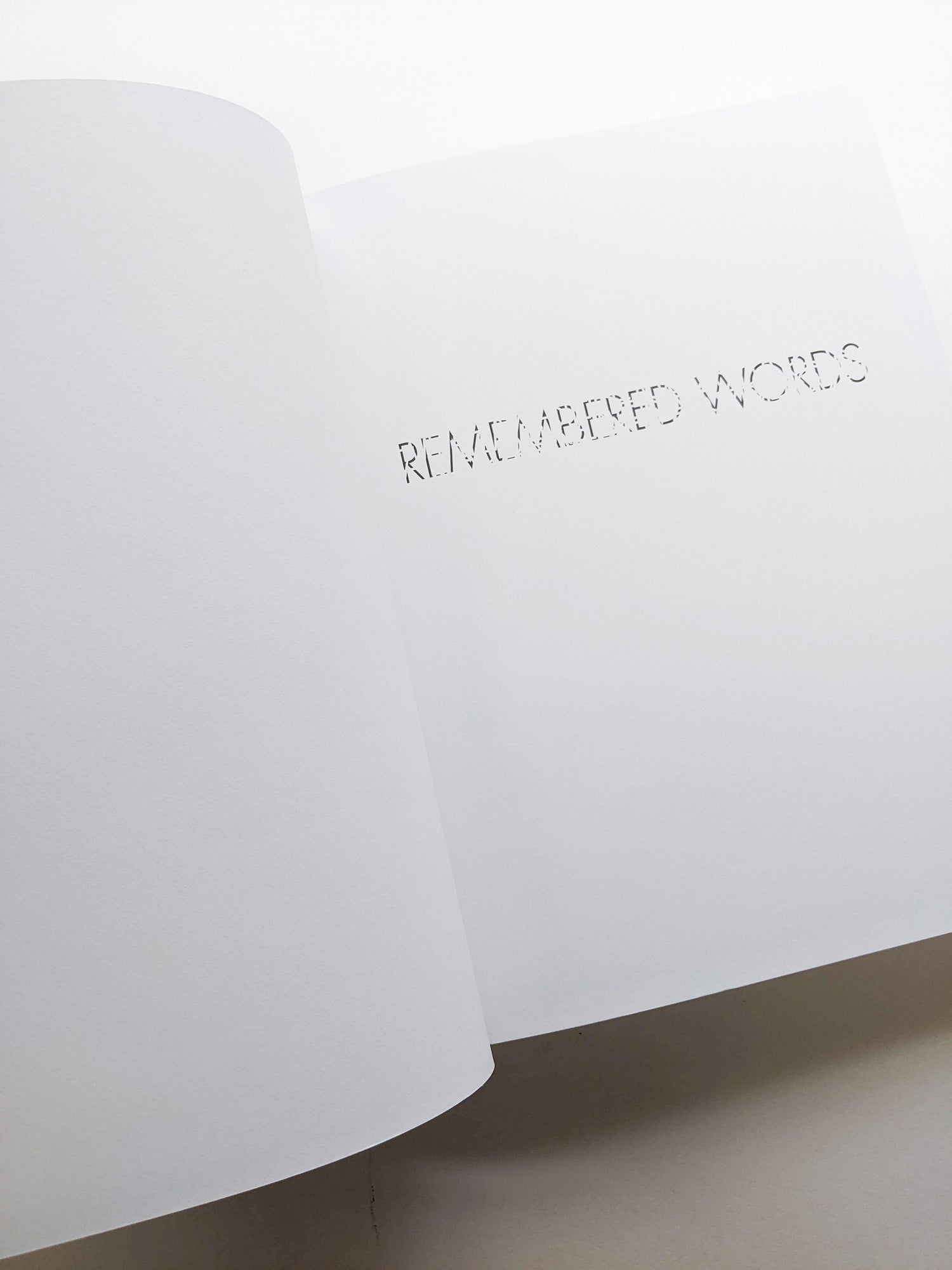 REMEMBERED WORDS / Roni Horn