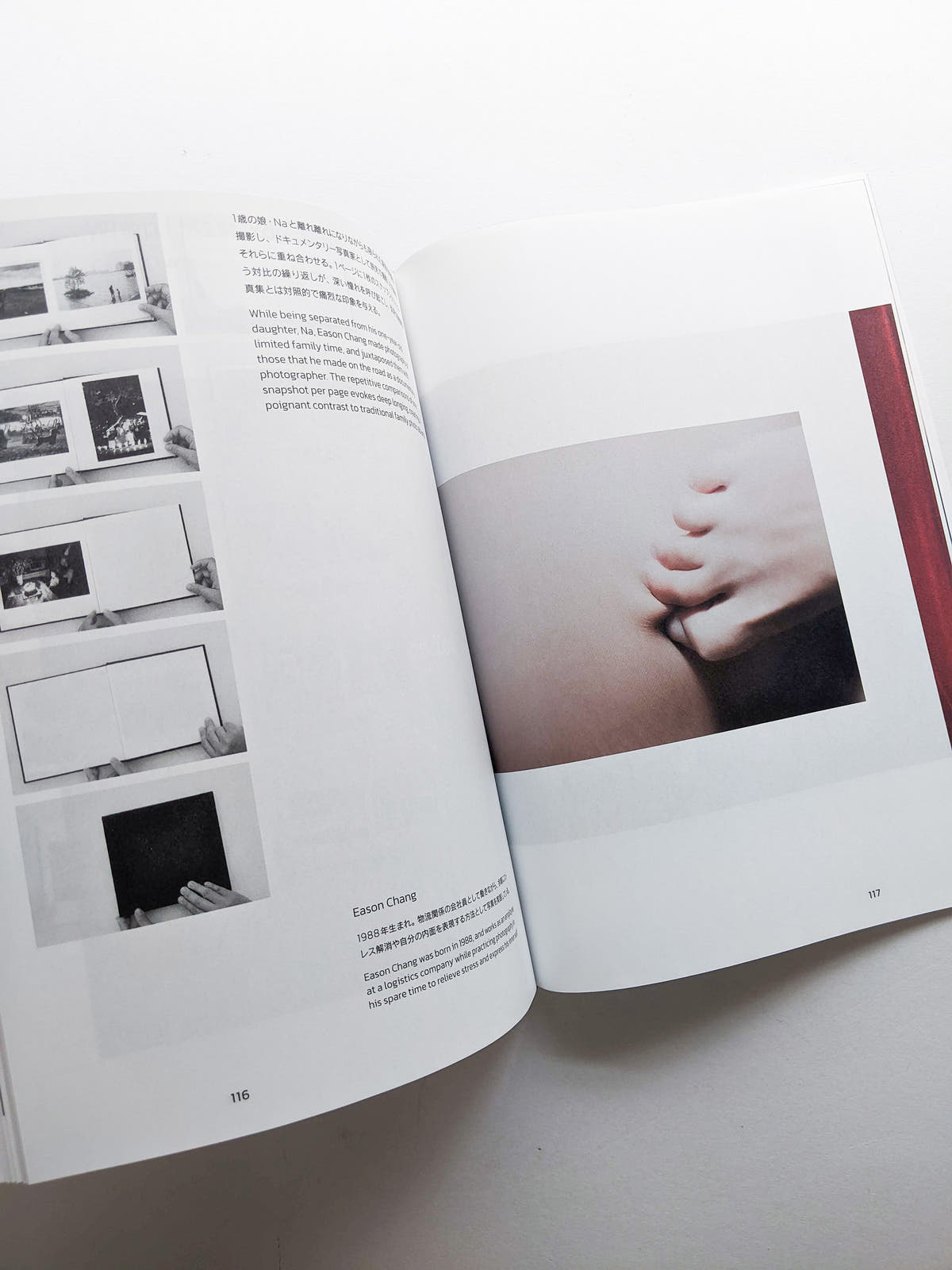 Imaging Rhizome｜Hình dung gốc rễ