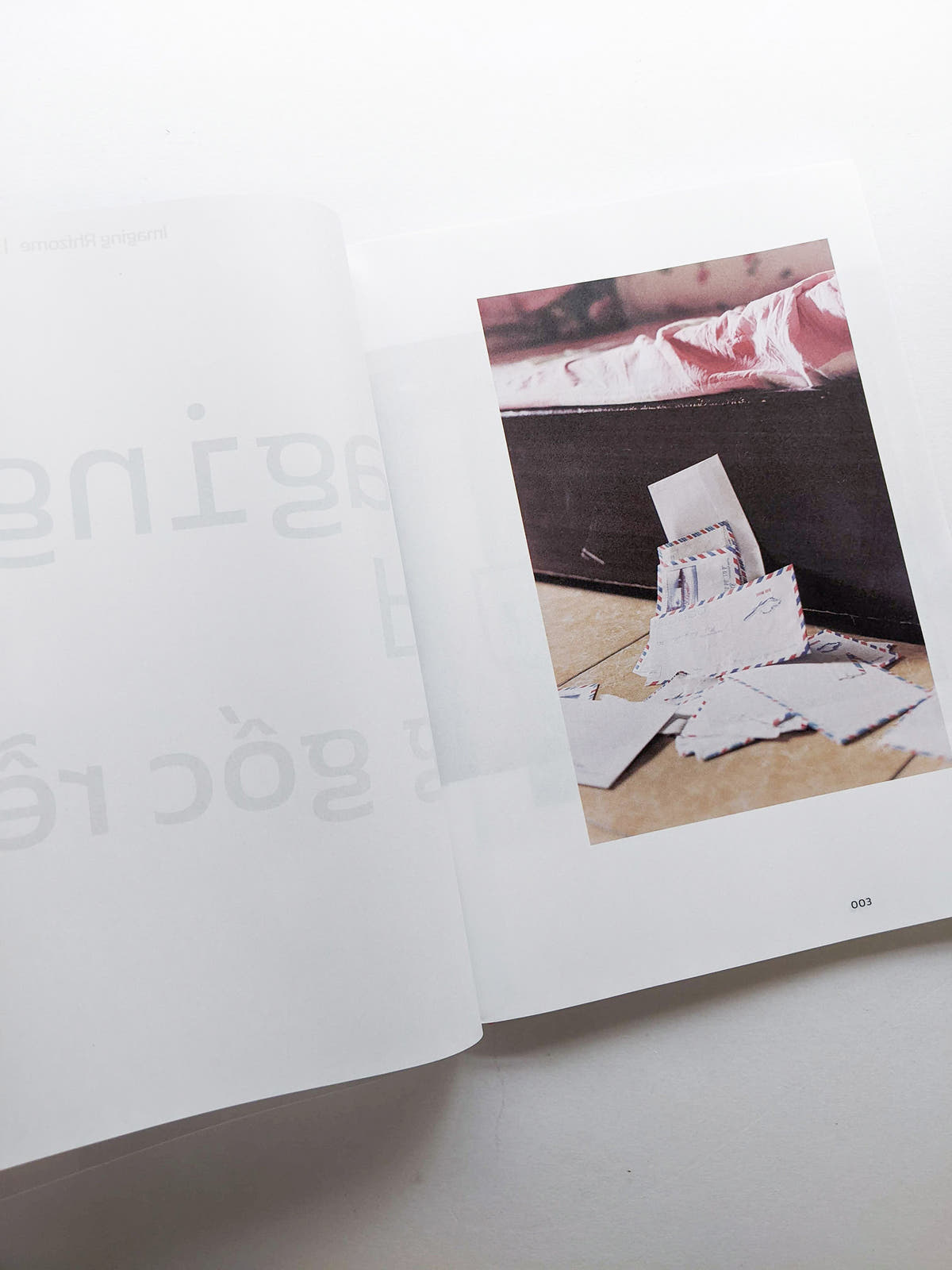 Imaging Rhizome｜Hình dung gốc rễ
