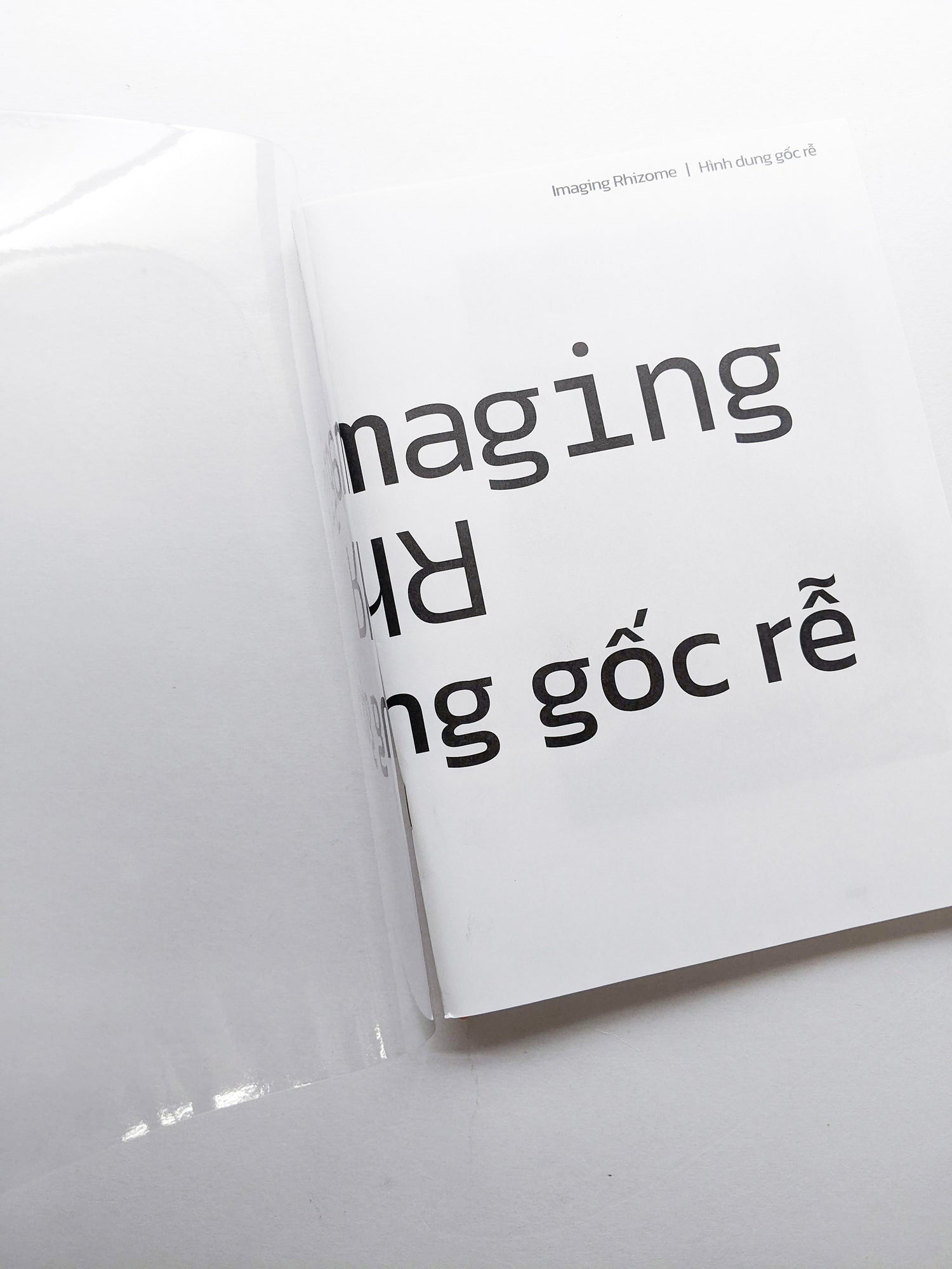 Imaging Rhizome｜Hình dung gốc rễ