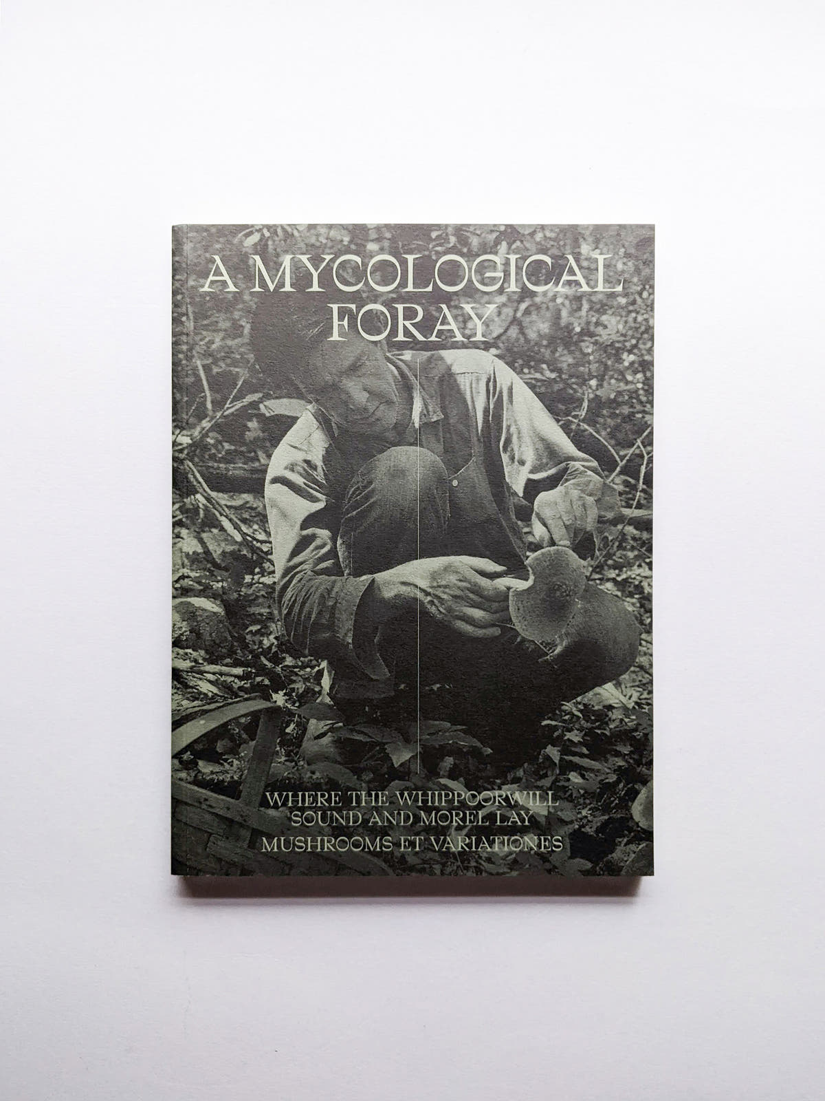 A MYCOLOGICAL FORAY / John Cage