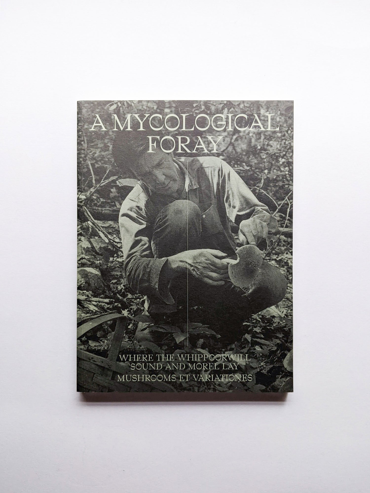 A MYCOLOGICAL FORAY / John Cage