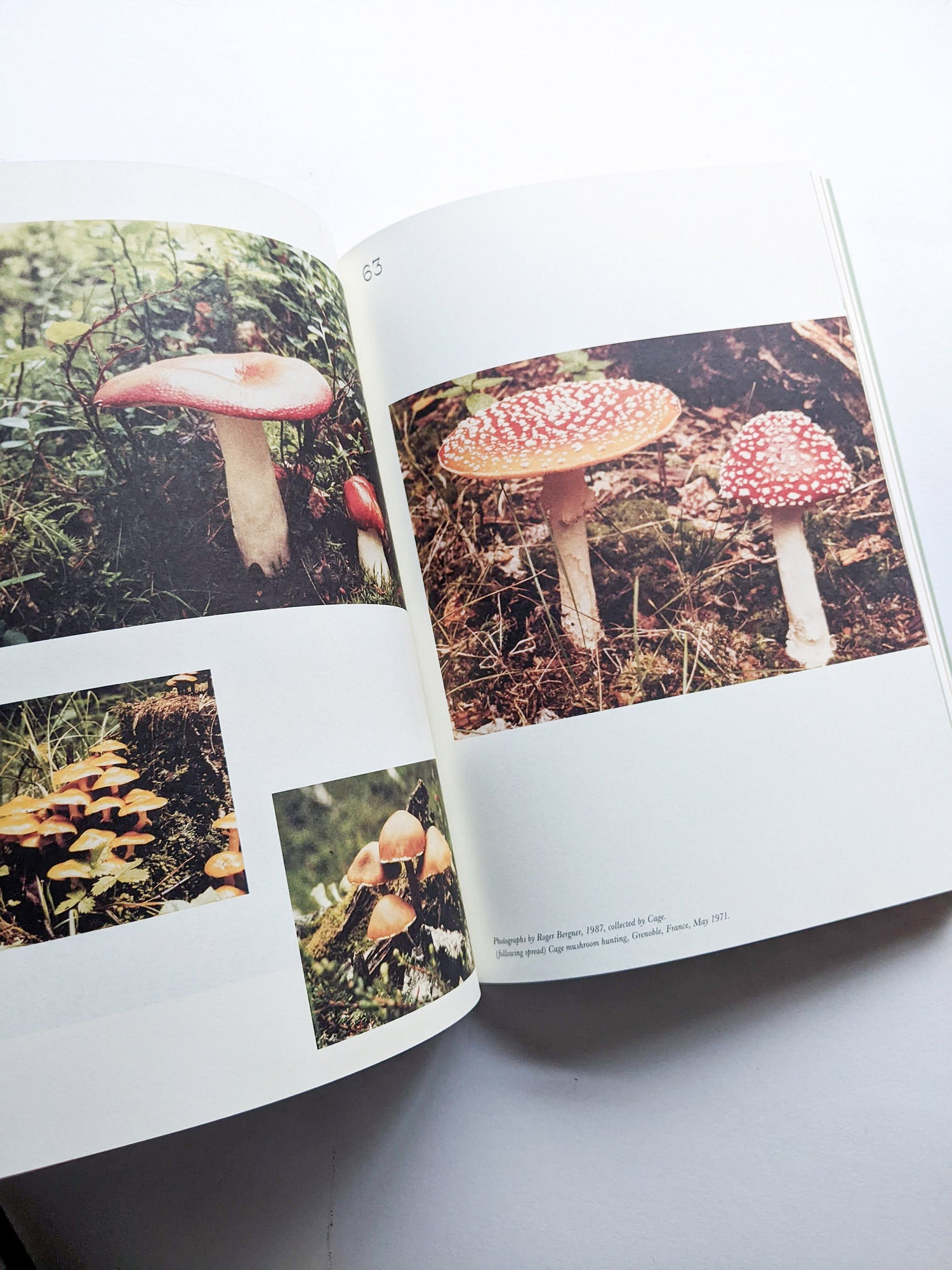 A MYCOLOGICAL FORAY / John Cage