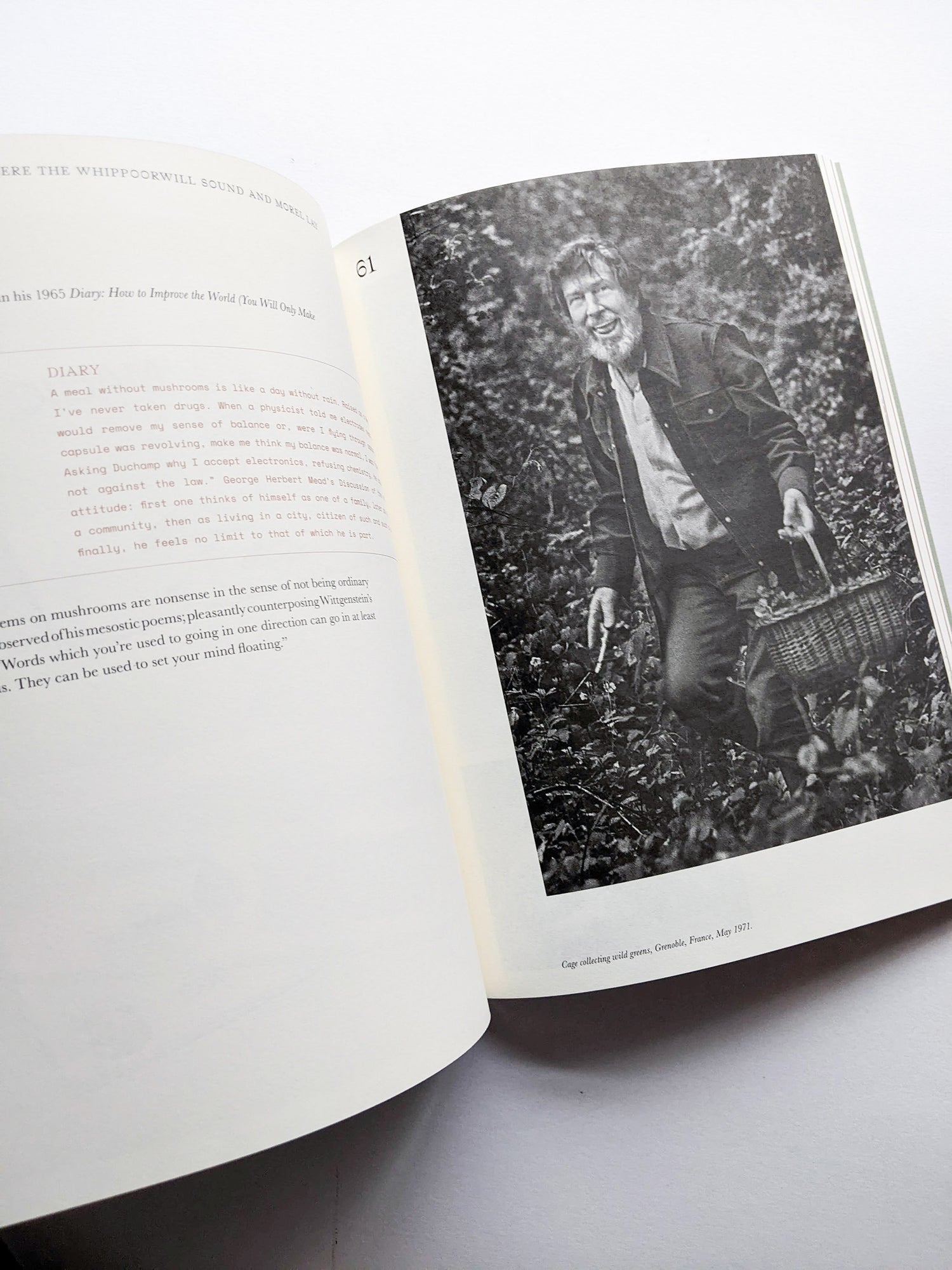 A MYCOLOGICAL FORAY / John Cage