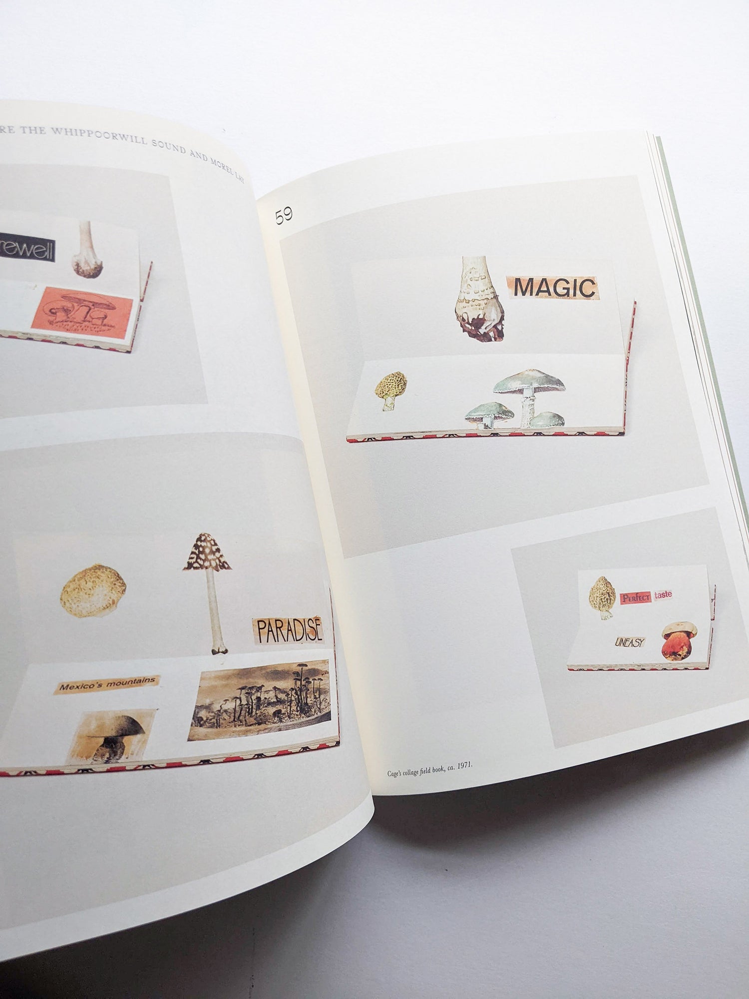 A MYCOLOGICAL FORAY / John Cage