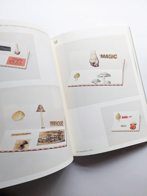 A MYCOLOGICAL FORAY / John Cage