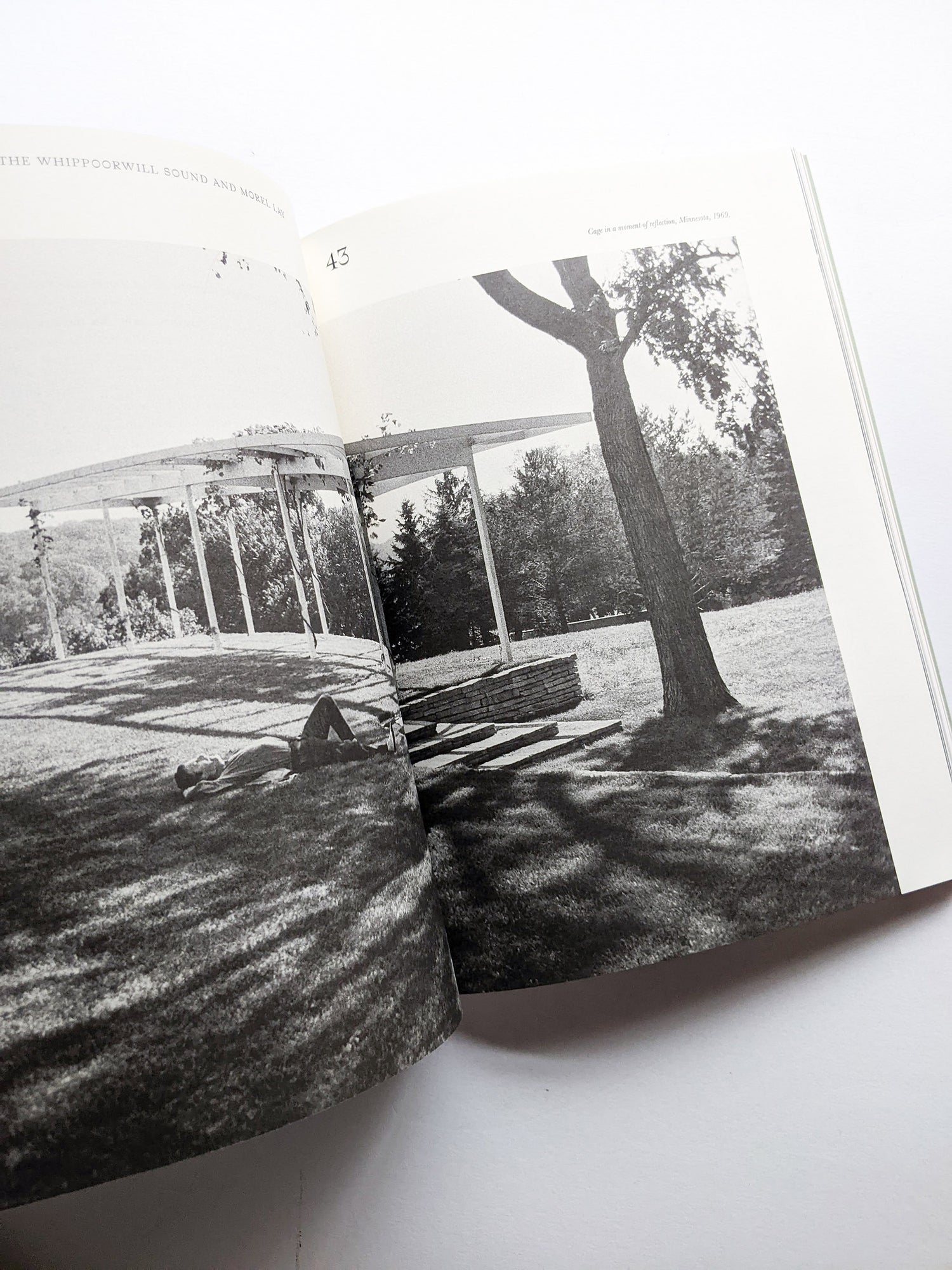 A MYCOLOGICAL FORAY / John Cage