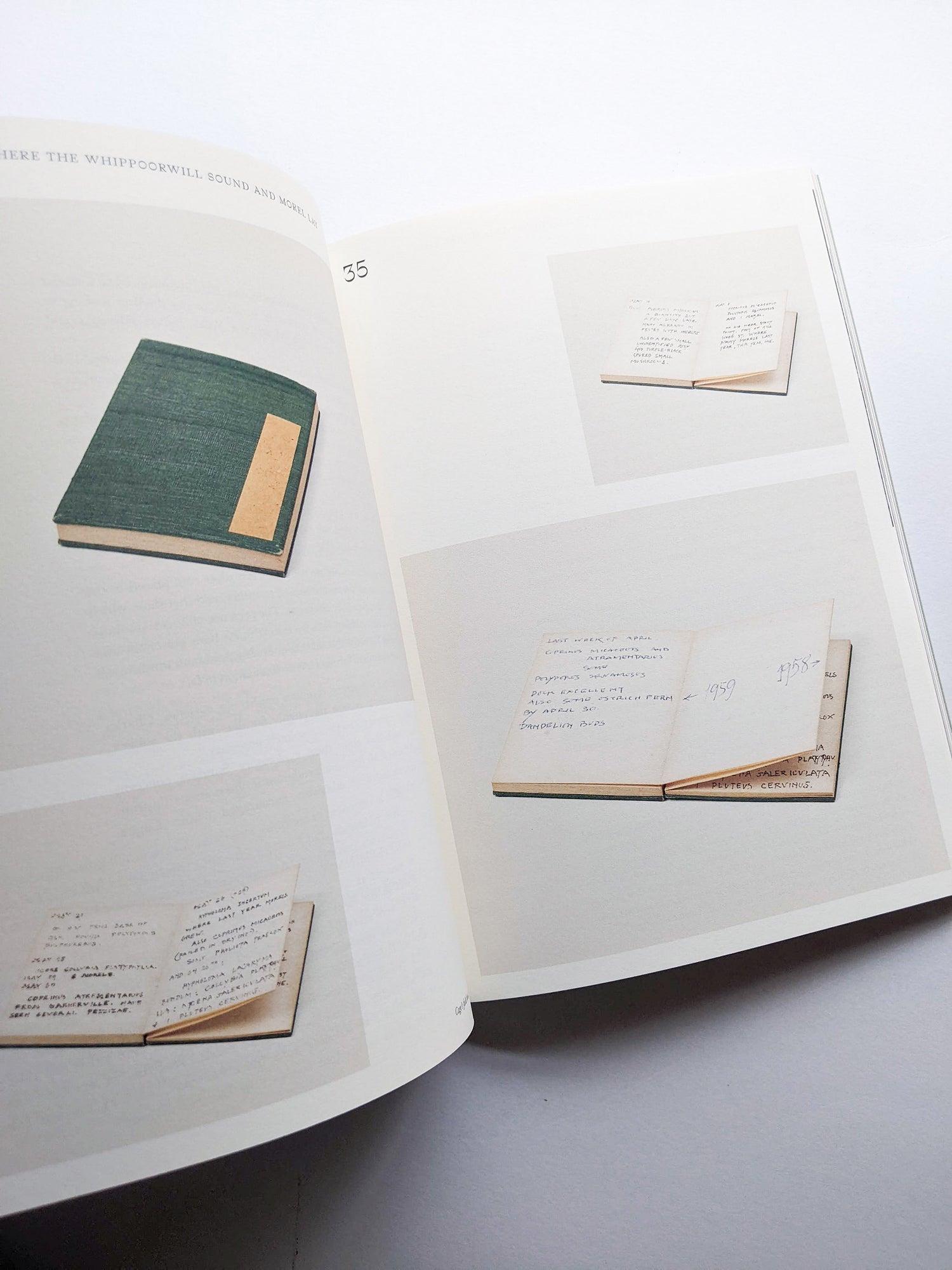 A MYCOLOGICAL FORAY / John Cage