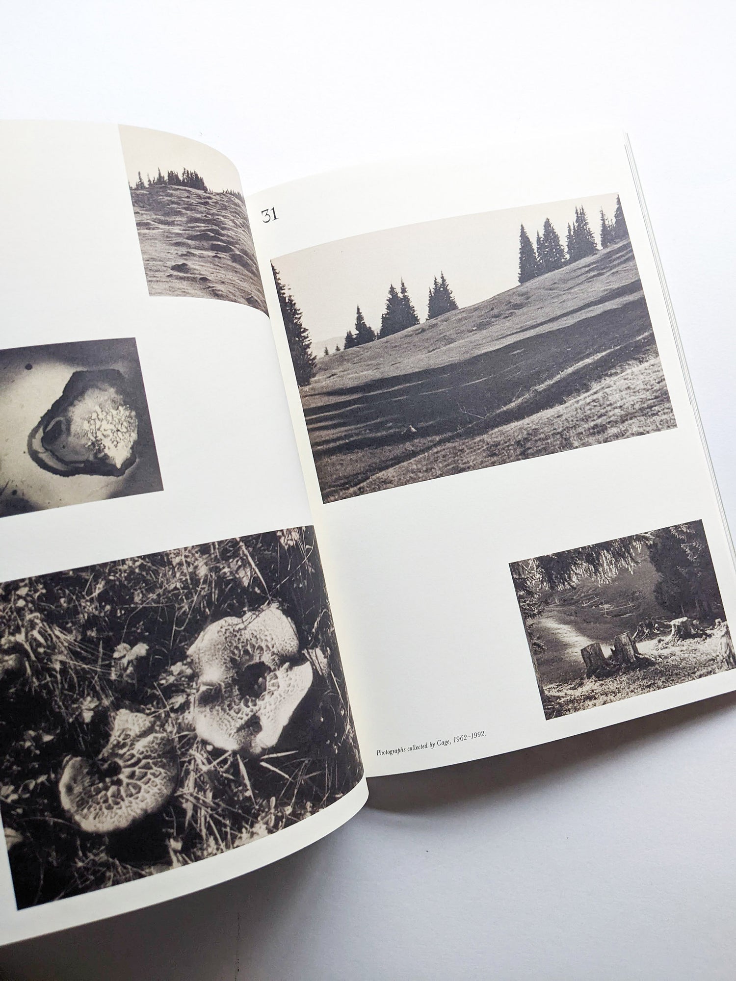 A MYCOLOGICAL FORAY / John Cage