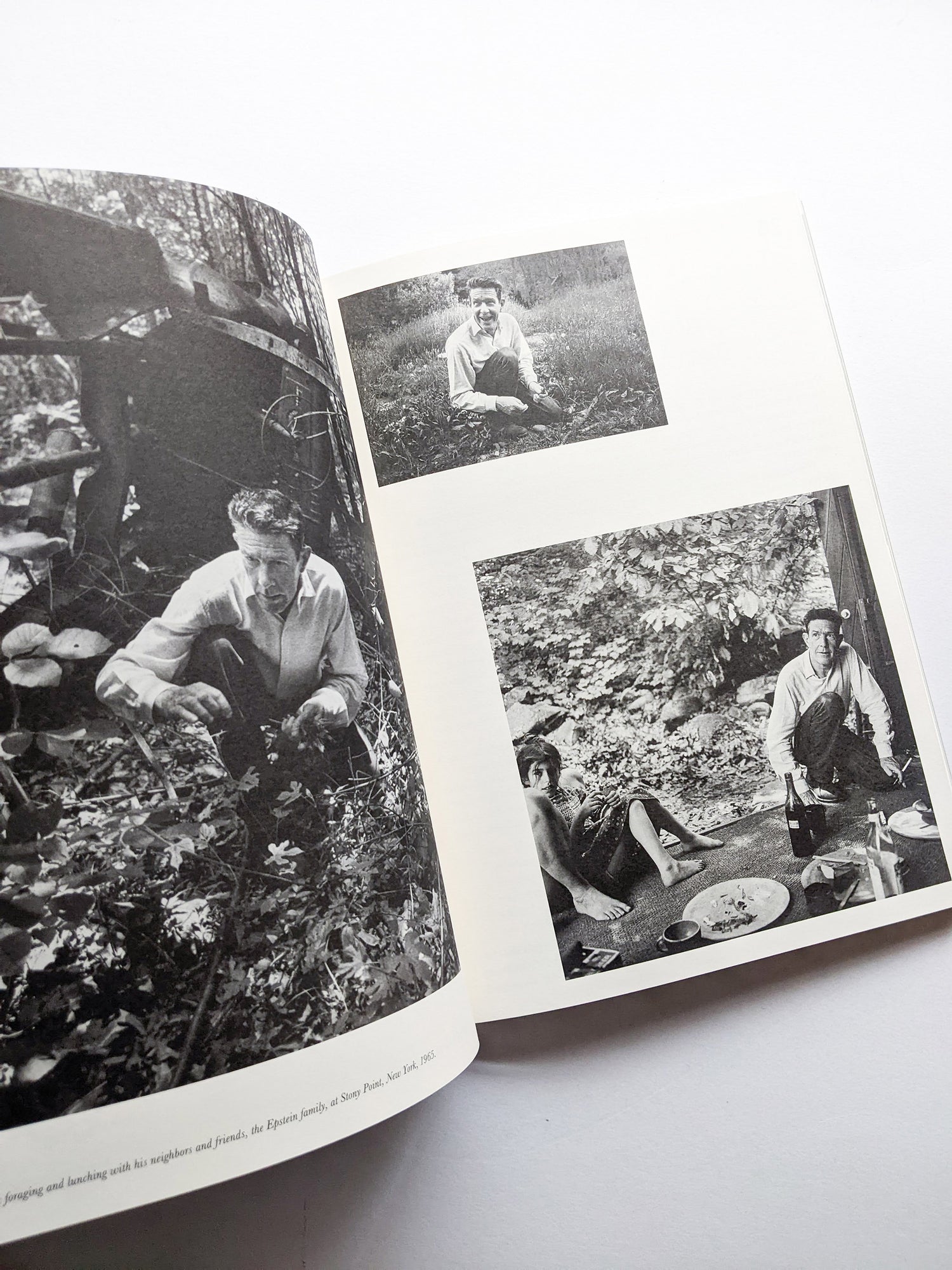 A MYCOLOGICAL FORAY / John Cage