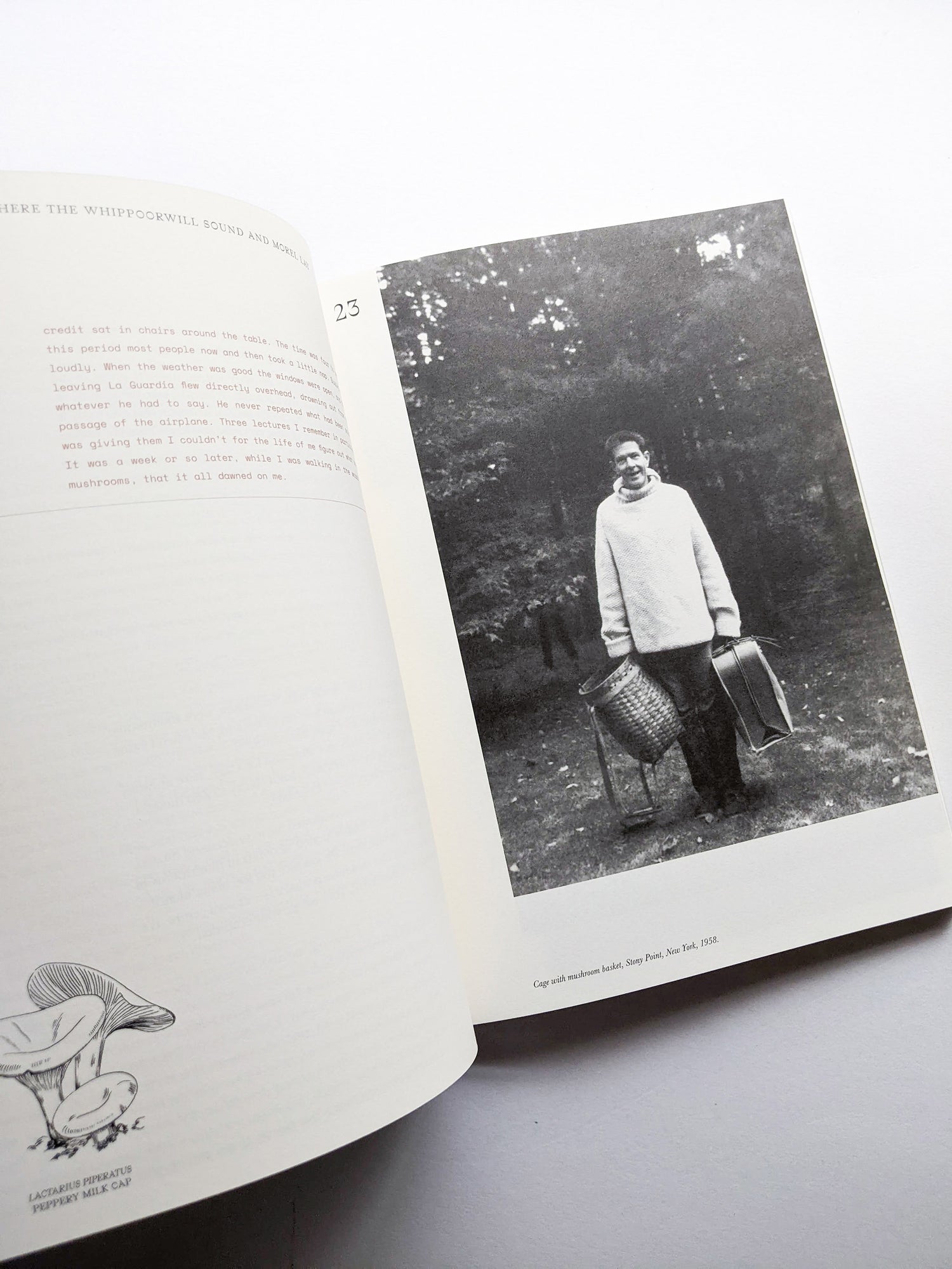 A MYCOLOGICAL FORAY / John Cage