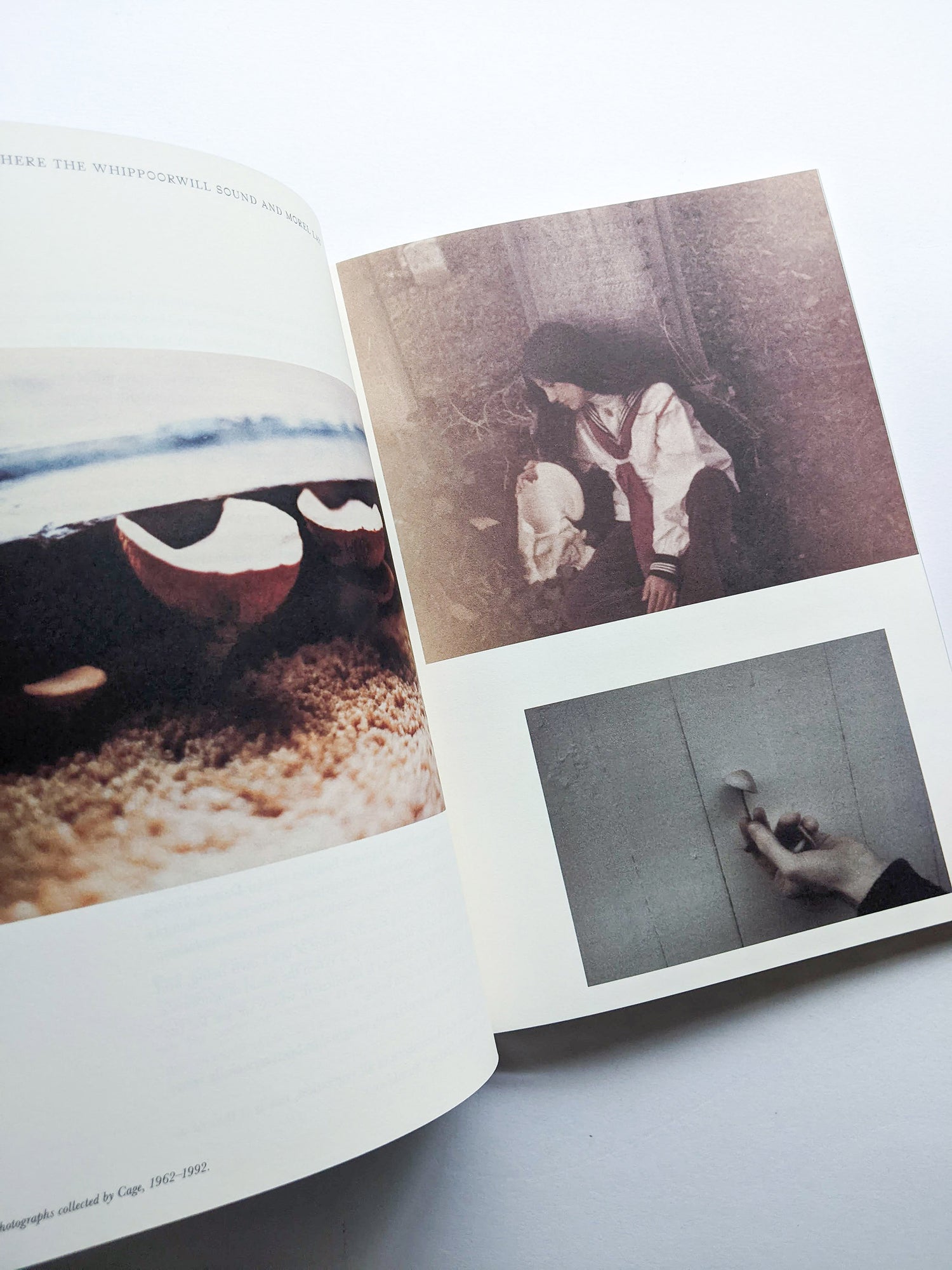 A MYCOLOGICAL FORAY / John Cage