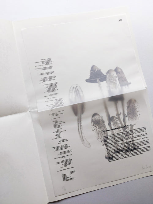 A MYCOLOGICAL FORAY / John Cage