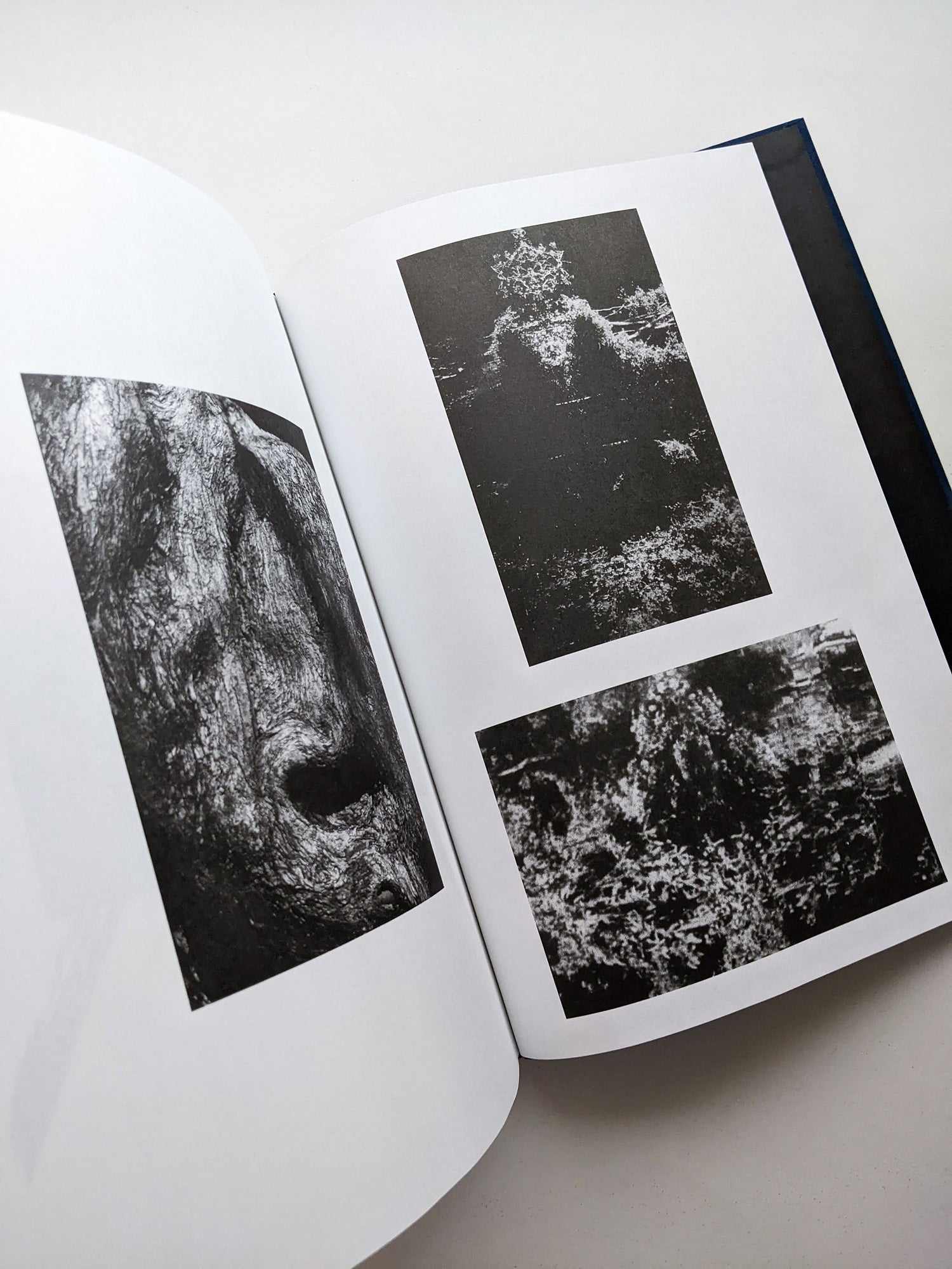 THE ARCHIVE OF DARK / Kirstine Roepstorff