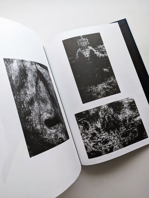 THE ARCHIVE OF DARK / Kirstine Roepstorff