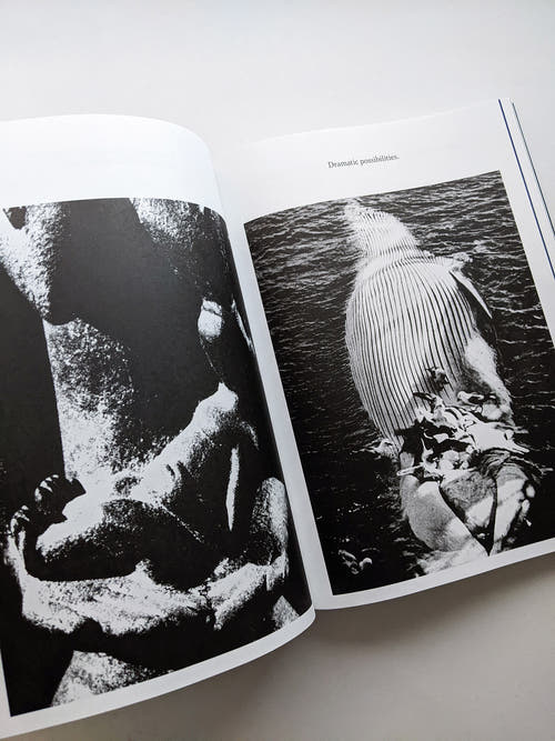 THE ARCHIVE OF DARK / Kirstine Roepstorff