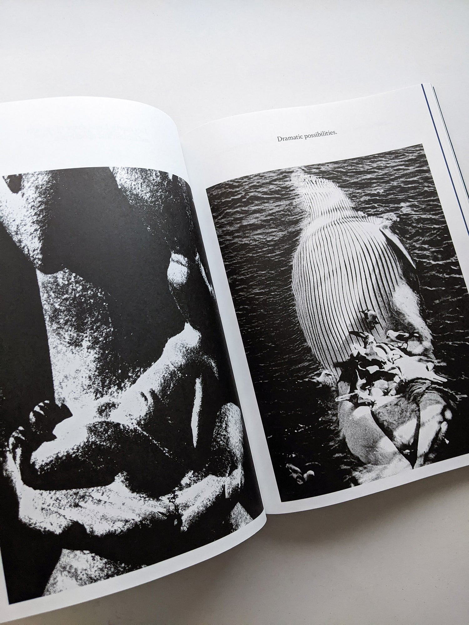 THE ARCHIVE OF DARK / Kirstine Roepstorff