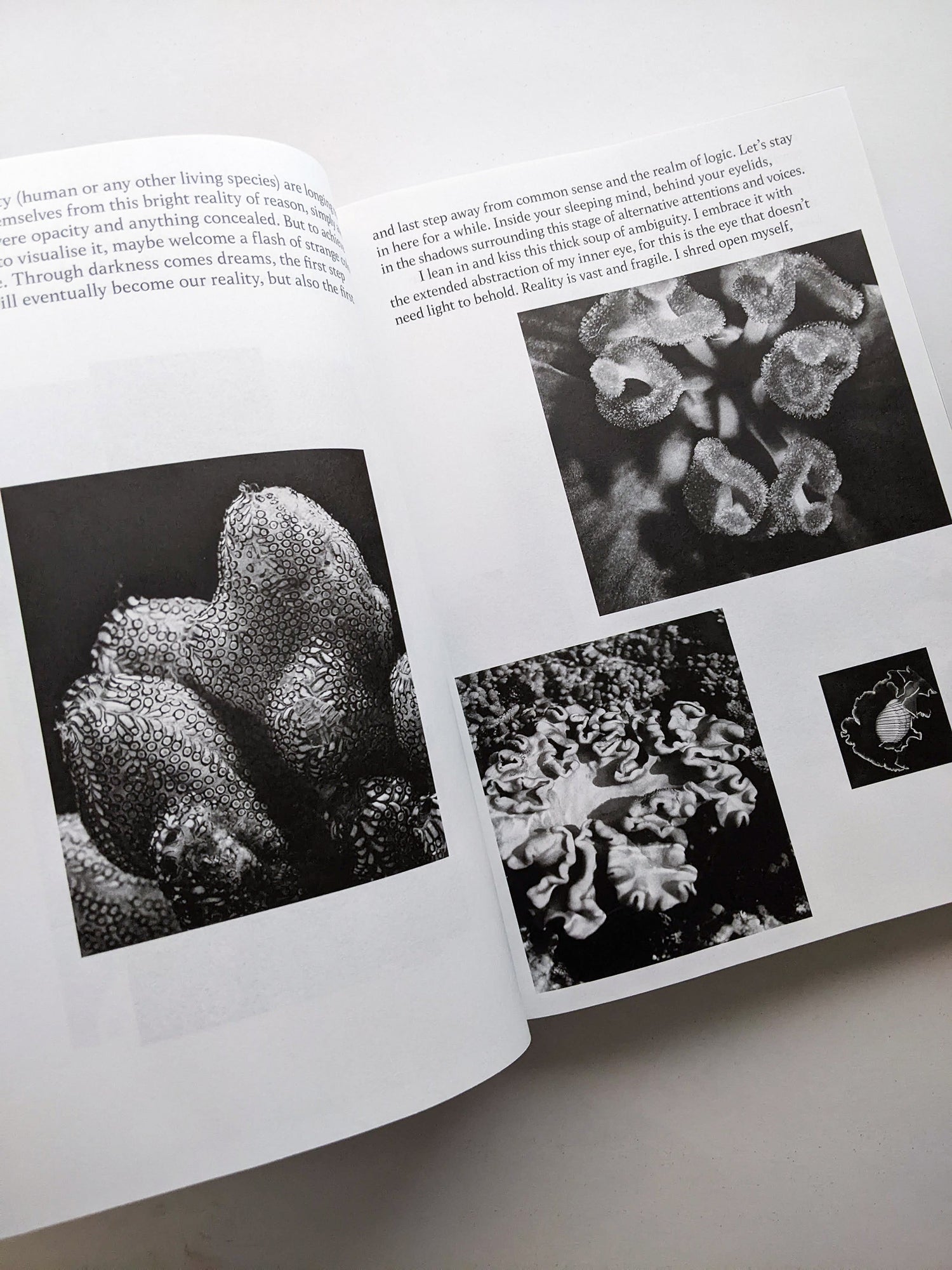 THE ARCHIVE OF DARK / Kirstine Roepstorff