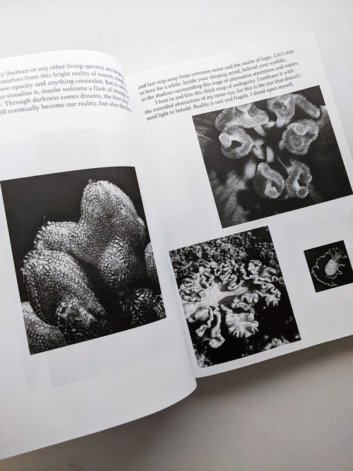 THE ARCHIVE OF DARK / Kirstine Roepstorff