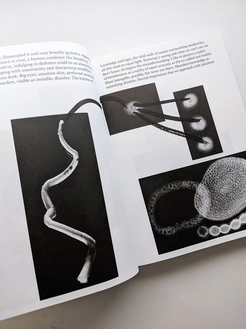 THE ARCHIVE OF DARK / Kirstine Roepstorff