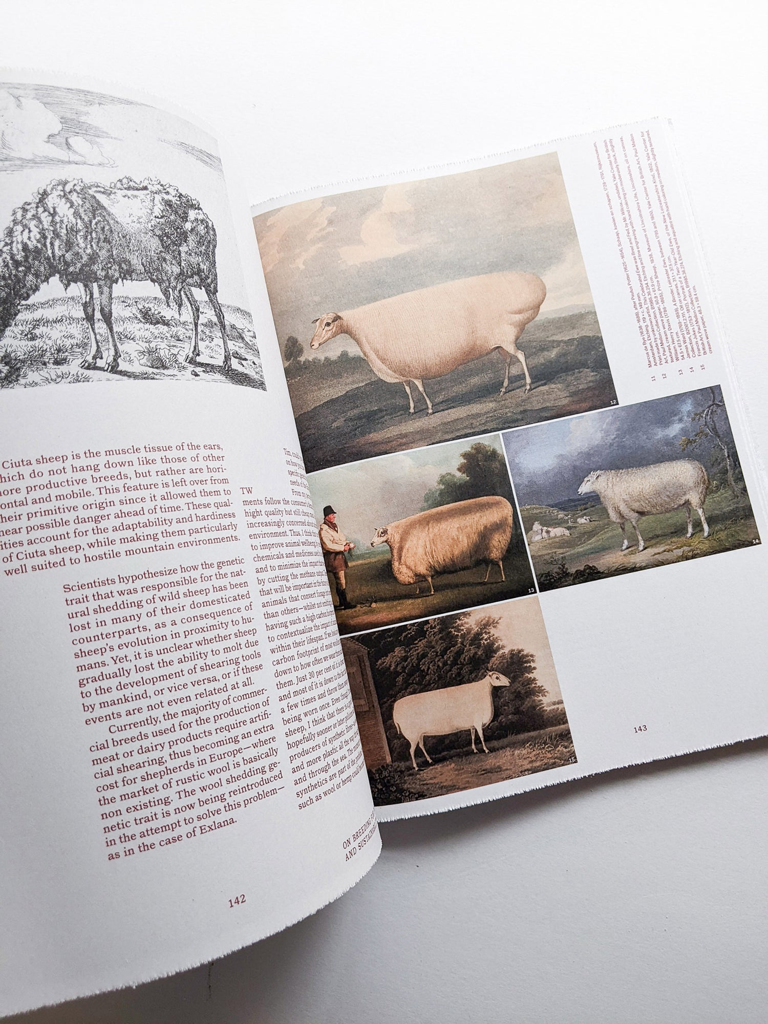 FORMAFANTASMA: OLTRE TERRA / Formafantasma