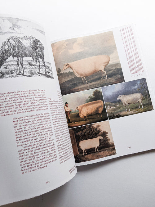 FORMAFANTASMA: OLTRE TERRA / Formafantasma