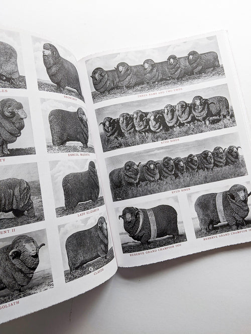 FORMAFANTASMA: OLTRE TERRA / Formafantasma