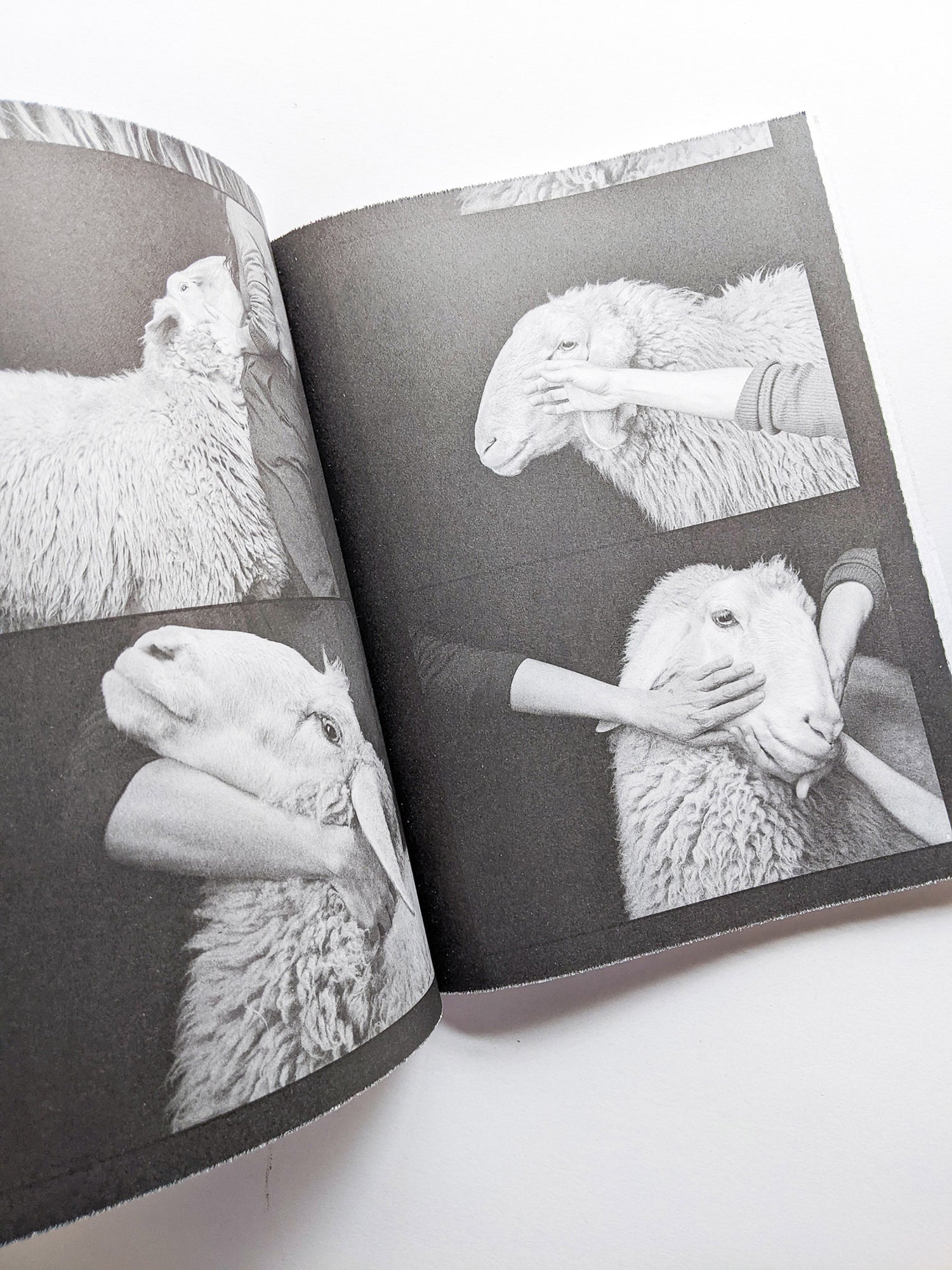 FORMAFANTASMA: OLTRE TERRA / Formafantasma