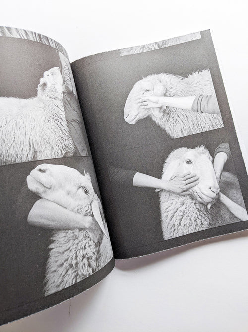 FORMAFANTASMA: OLTRE TERRA / Formafantasma