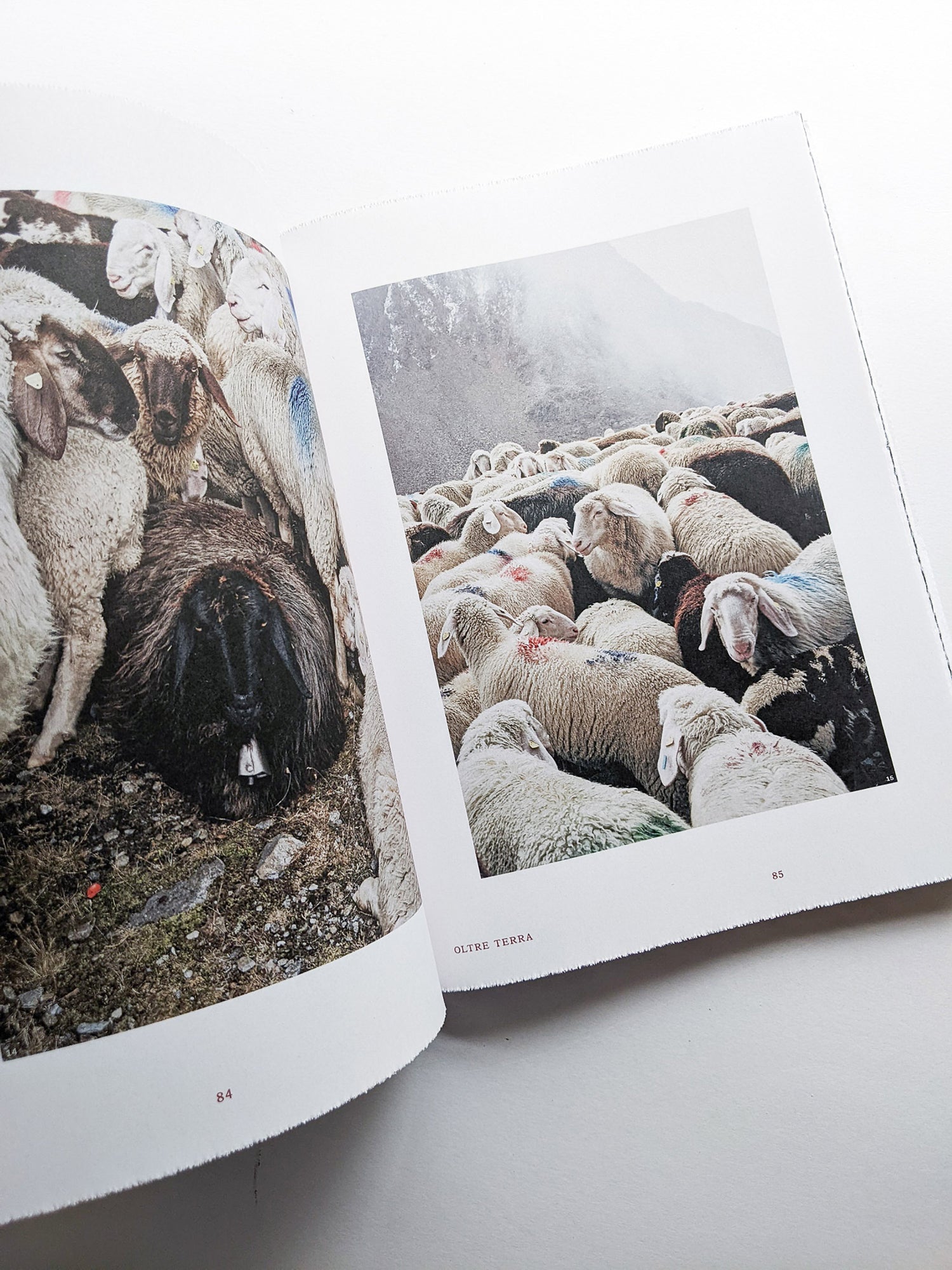 FORMAFANTASMA: OLTRE TERRA / Formafantasma