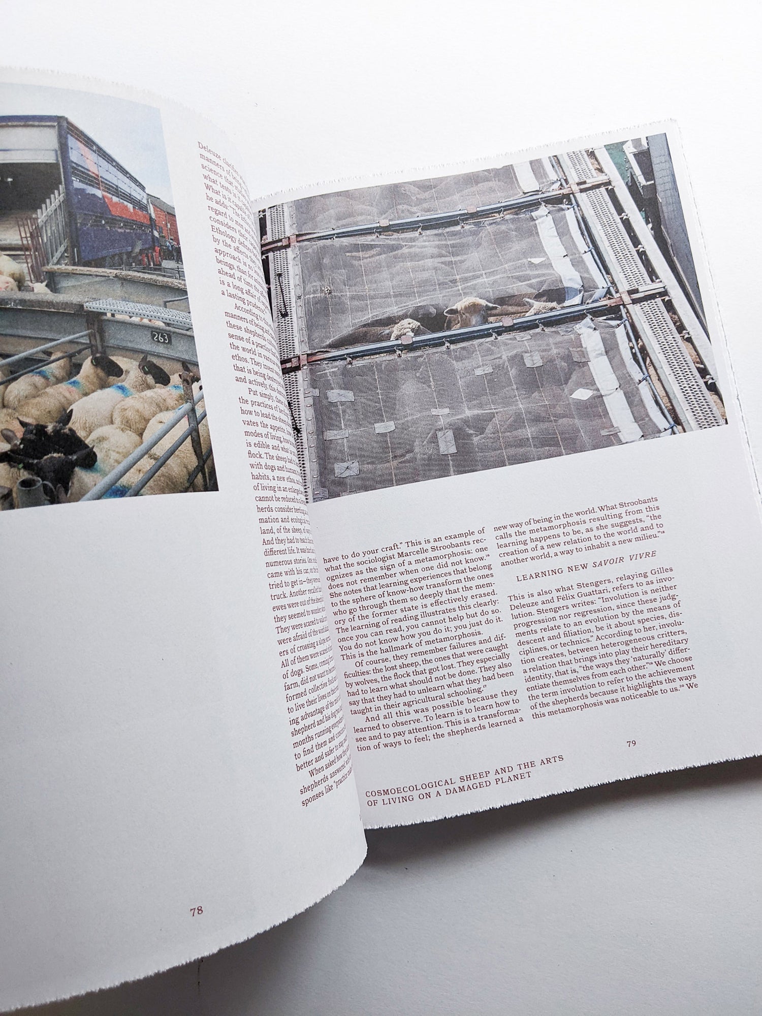 FORMAFANTASMA: OLTRE TERRA / Formafantasma