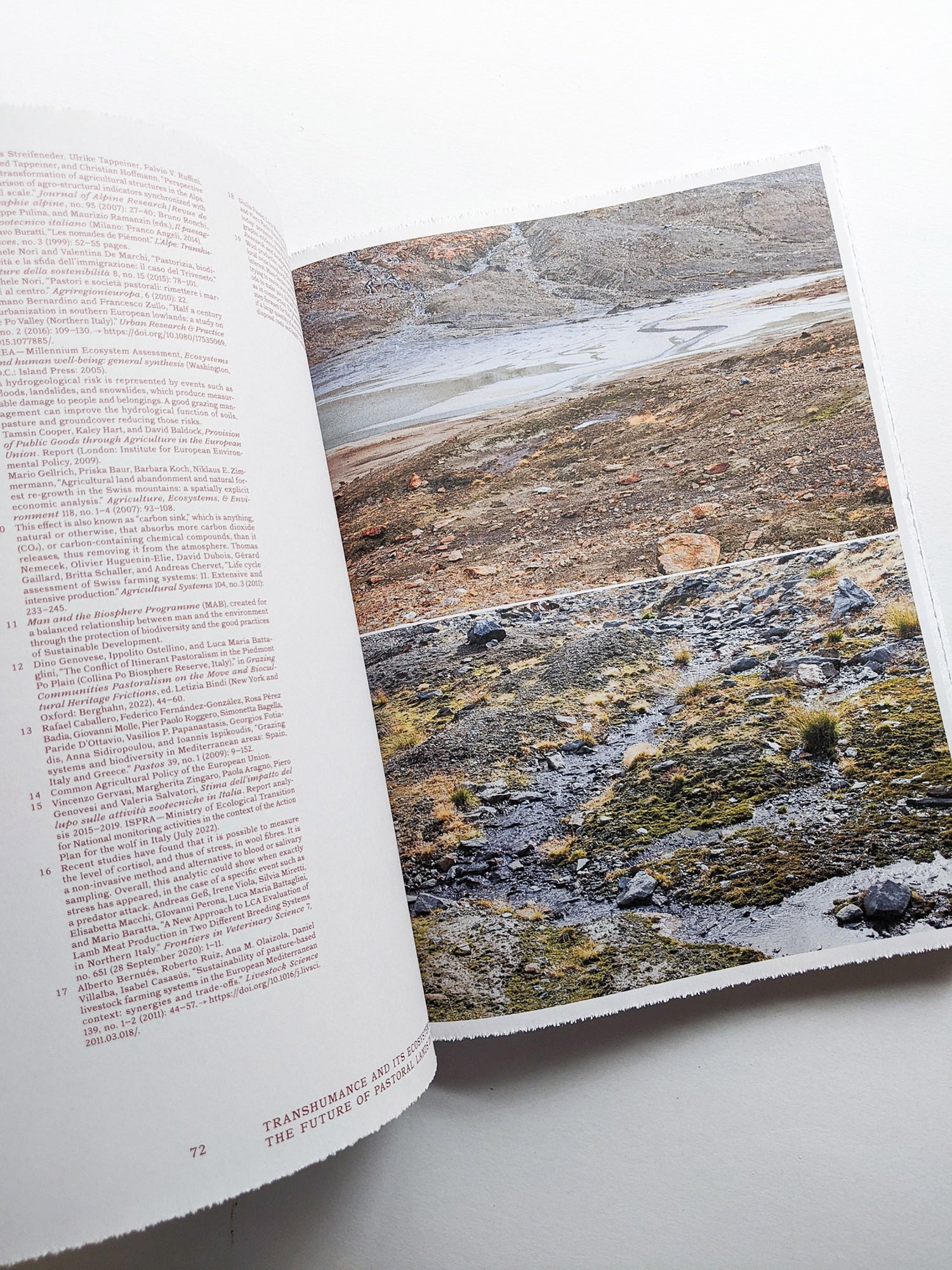 FORMAFANTASMA: OLTRE TERRA / Formafantasma