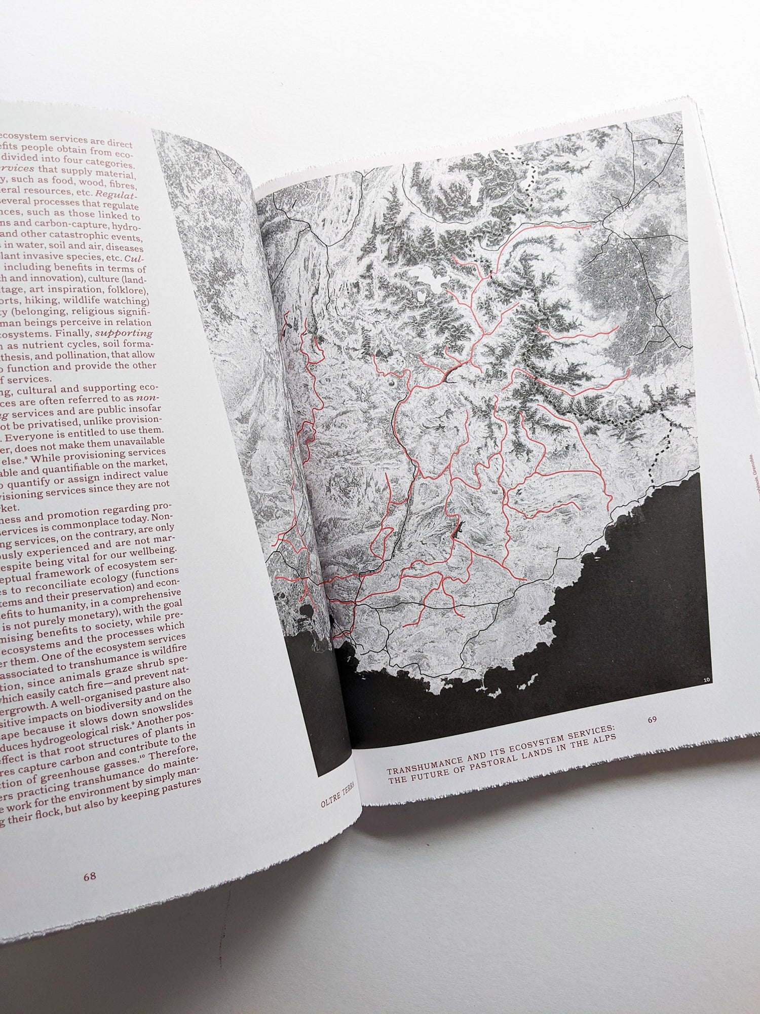 FORMAFANTASMA: OLTRE TERRA / Formafantasma