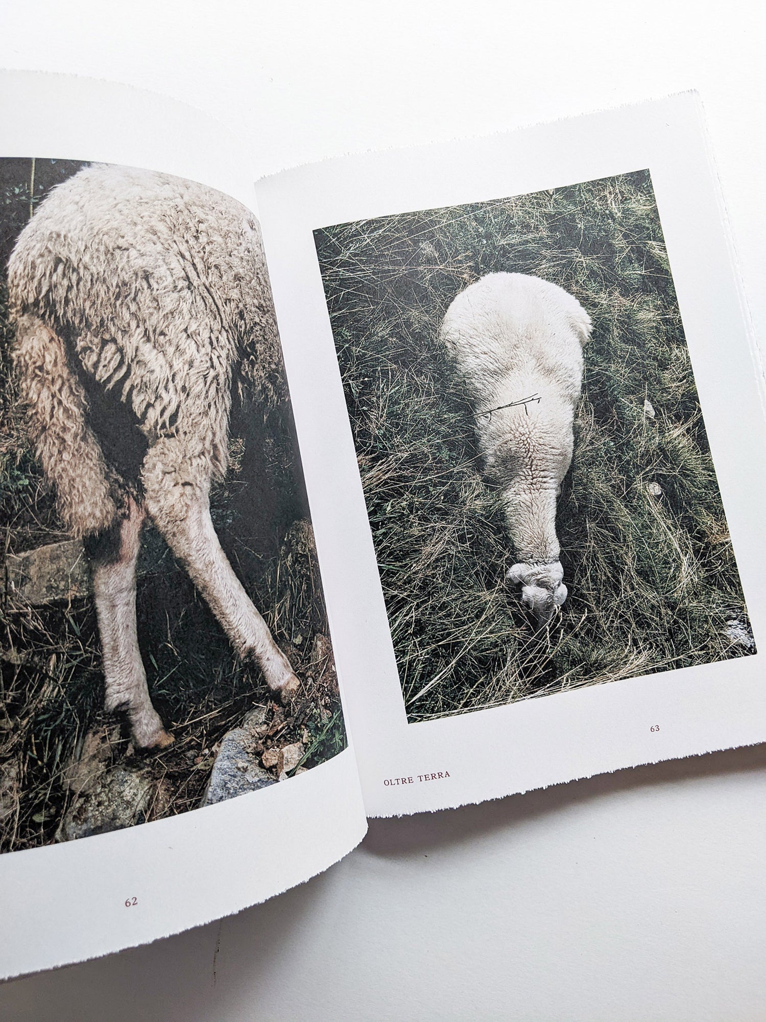 FORMAFANTASMA: OLTRE TERRA / Formafantasma