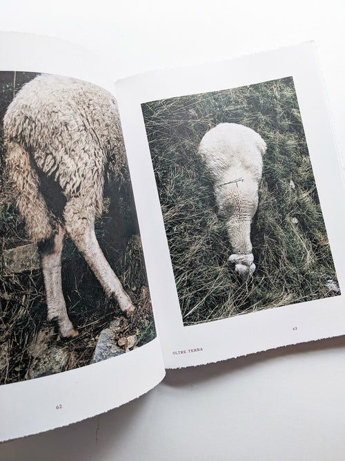 FORMAFANTASMA: OLTRE TERRA / Formafantasma