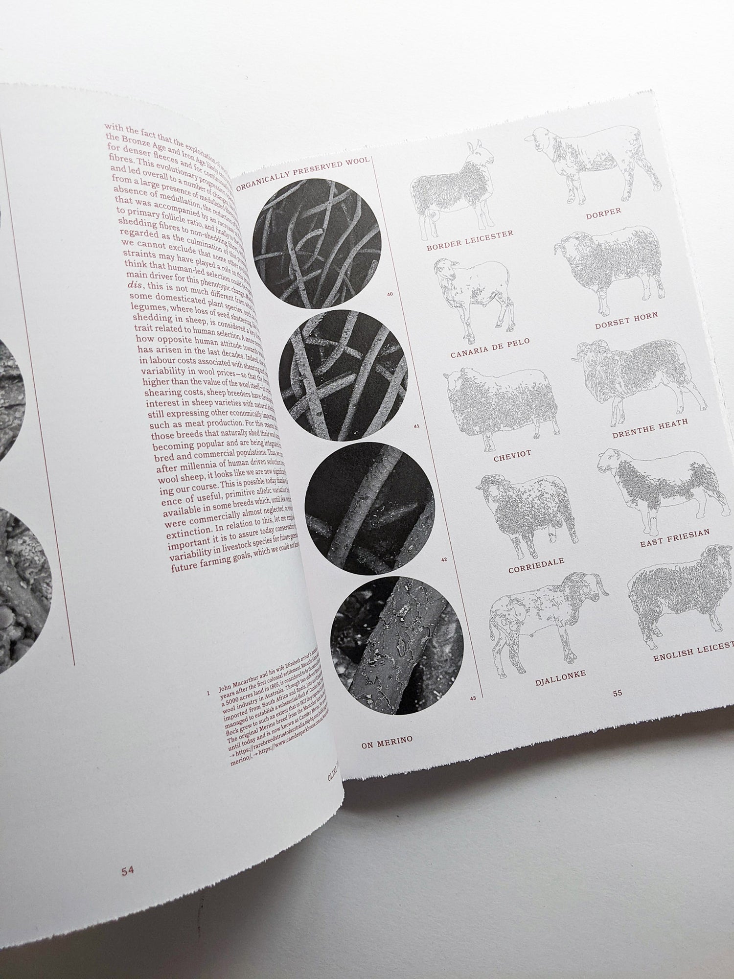 FORMAFANTASMA: OLTRE TERRA / Formafantasma