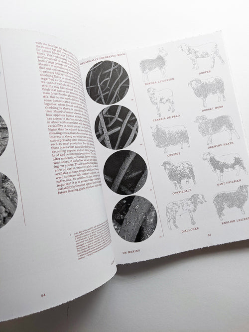 FORMAFANTASMA: OLTRE TERRA / Formafantasma