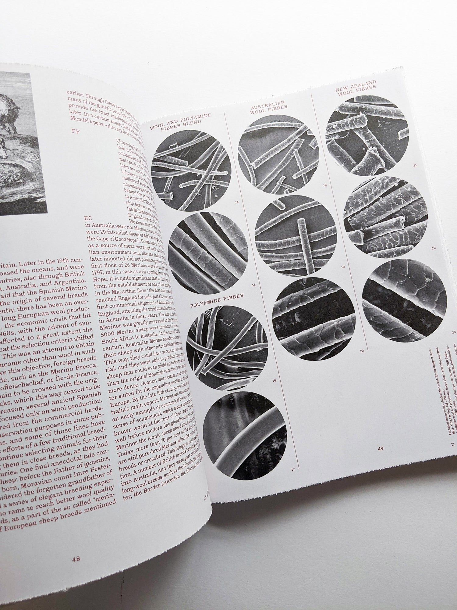 FORMAFANTASMA: OLTRE TERRA / Formafantasma