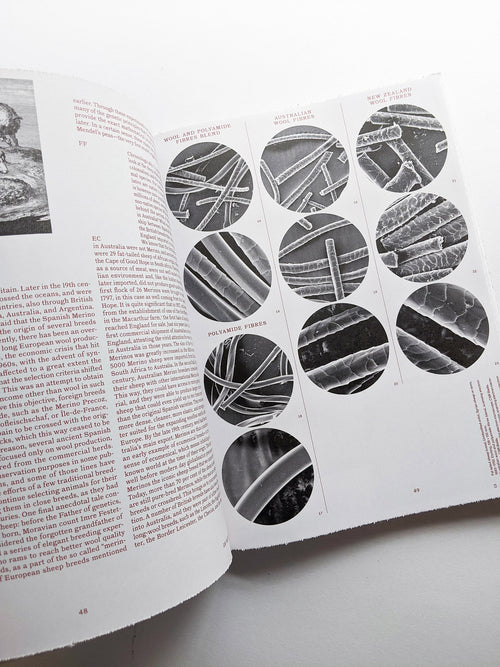 FORMAFANTASMA: OLTRE TERRA / Formafantasma