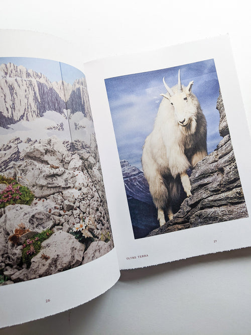 FORMAFANTASMA: OLTRE TERRA / Formafantasma