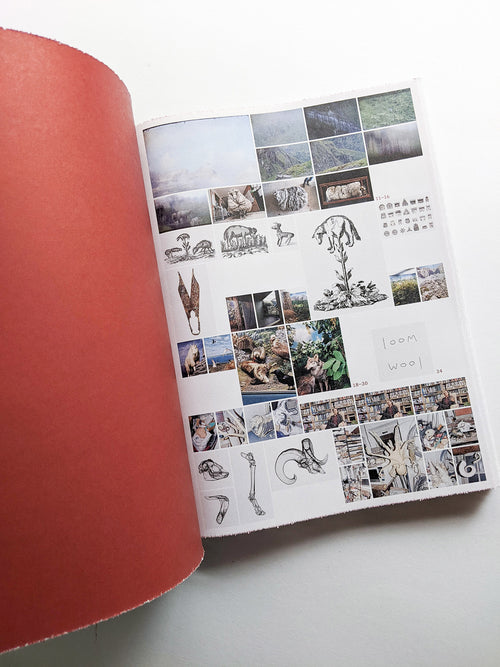 FORMAFANTASMA: OLTRE TERRA / Formafantasma