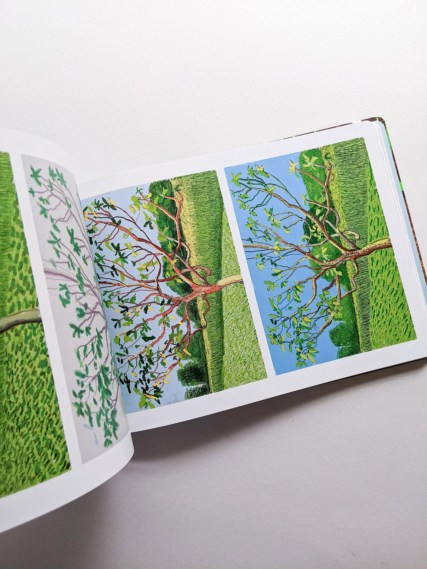 THE ARRIVAL OF SPRING, NORMANDY 2020 / David Hockney