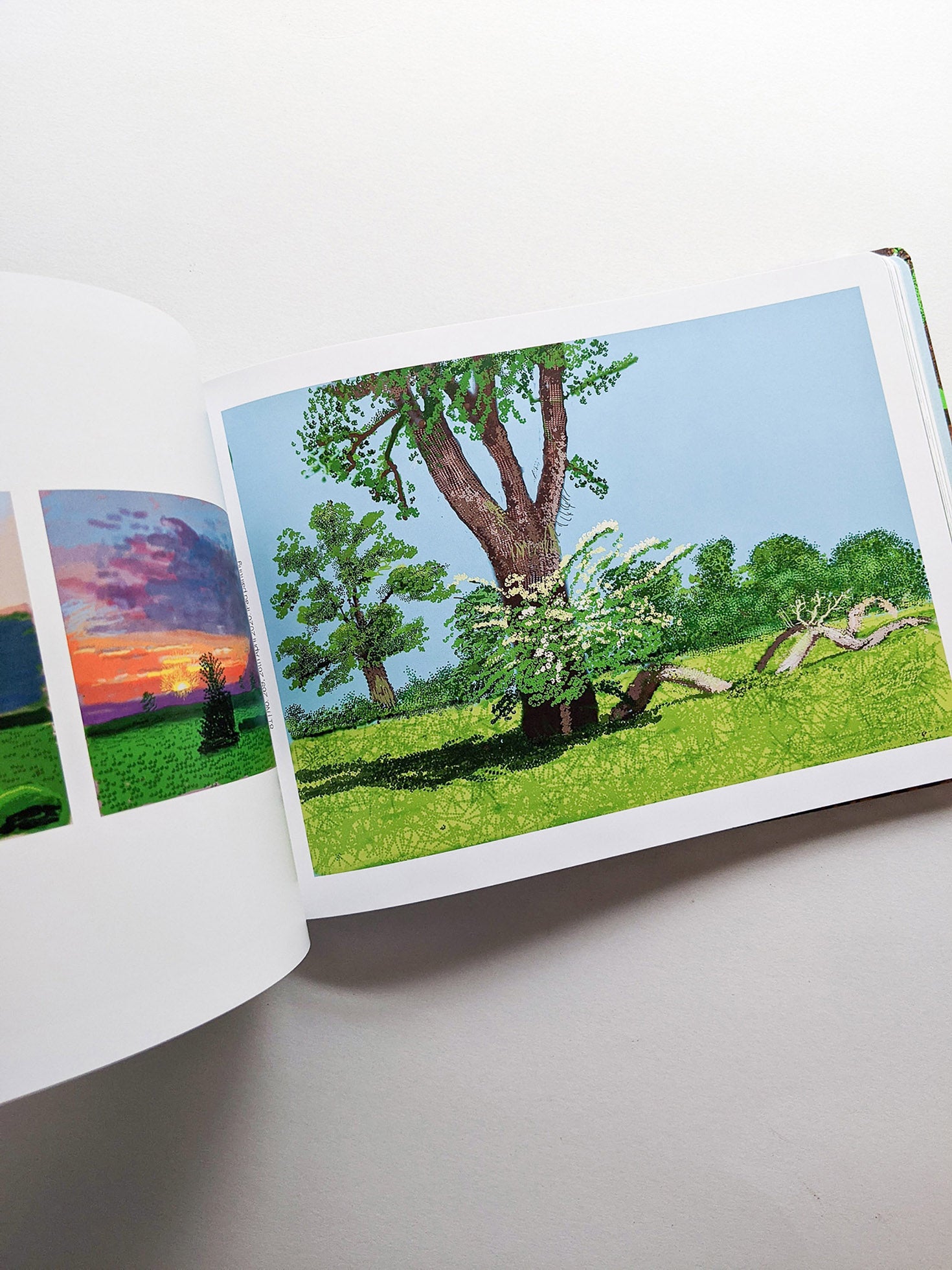 THE ARRIVAL OF SPRING, NORMANDY 2020 / David Hockney