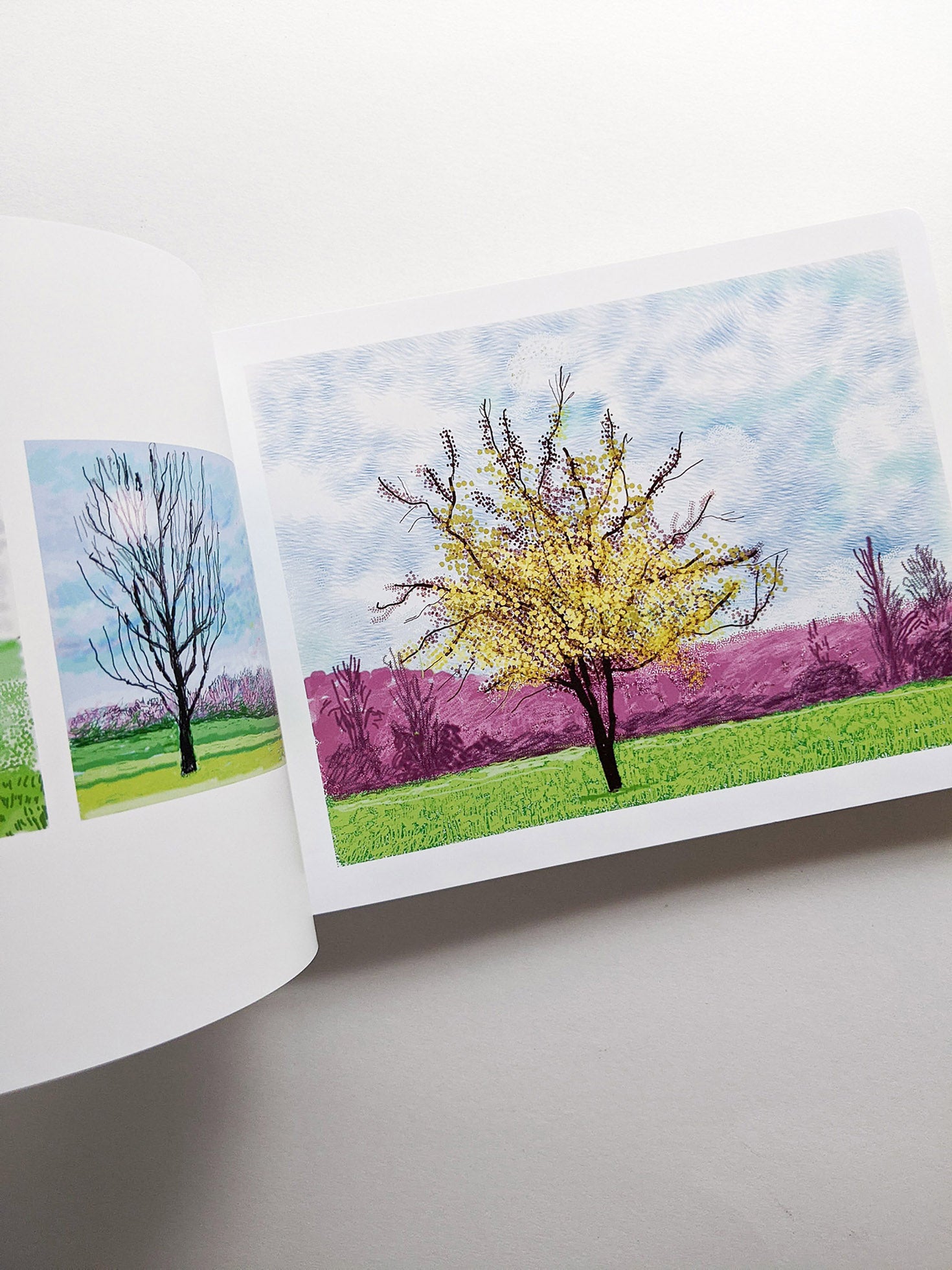 THE ARRIVAL OF SPRING, NORMANDY 2020 / David Hockney