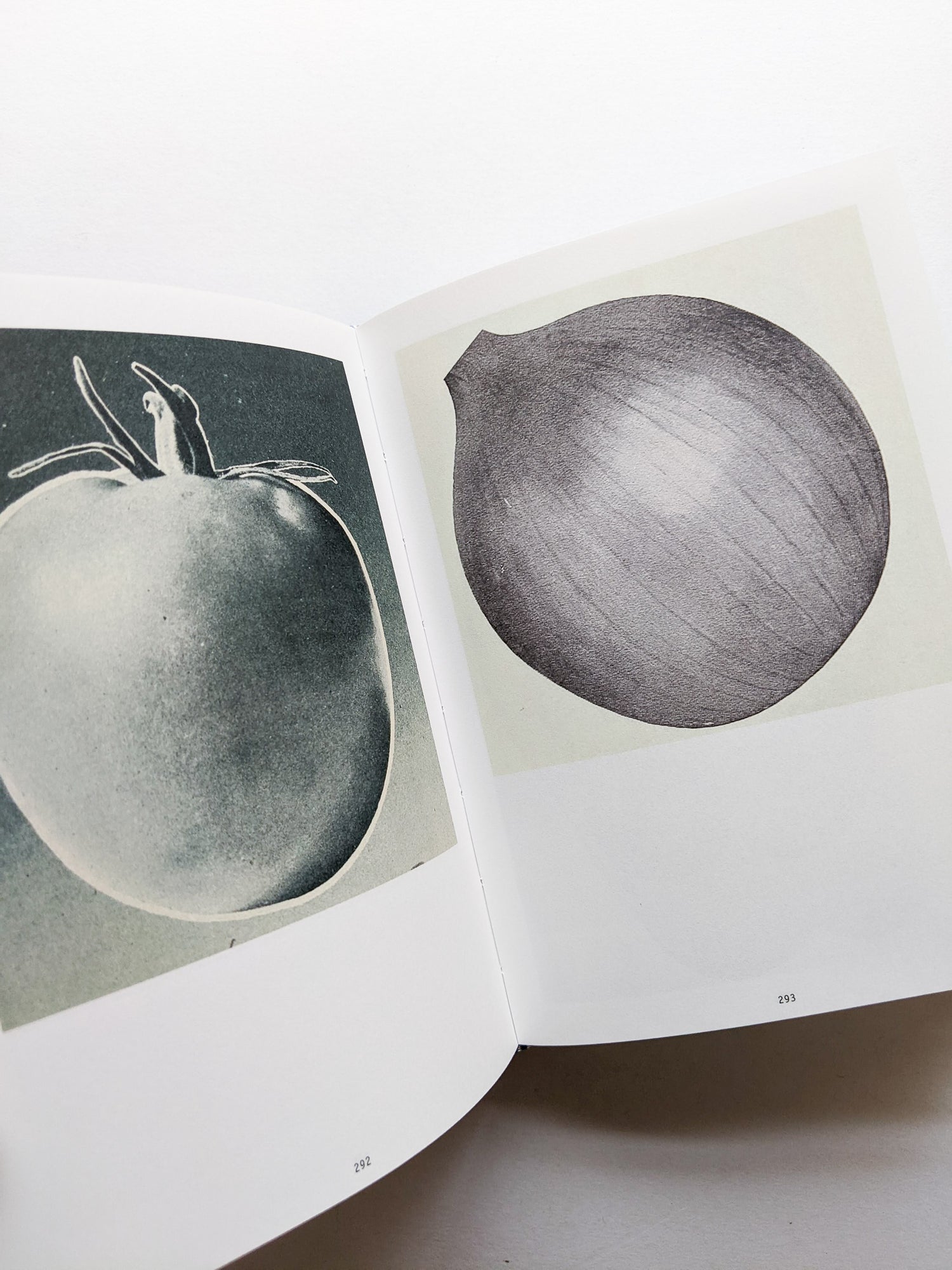 The Oldest Thing / Ruth van Beek